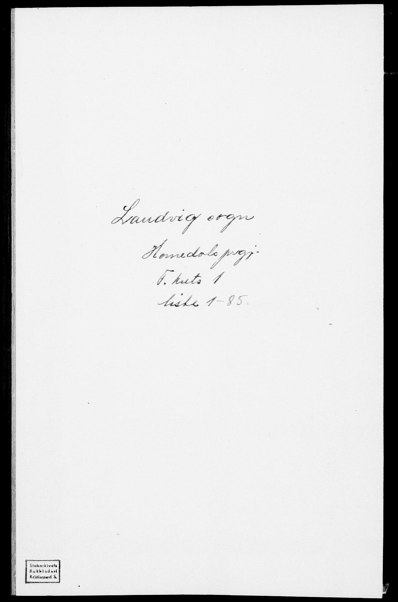 SAK, Folketelling 1875 for 0924P Homedal prestegjeld, 1875, s. 350