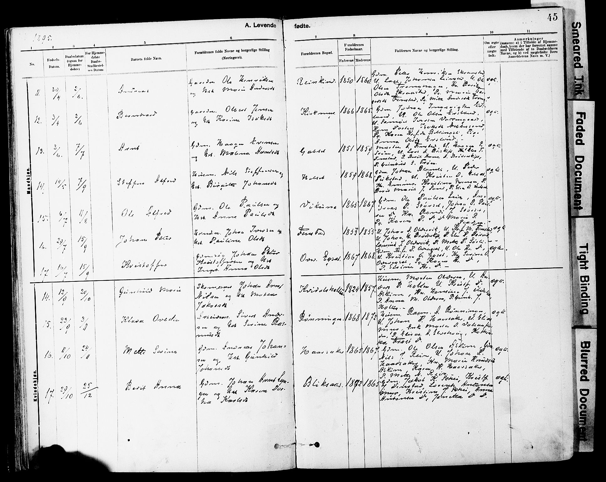 Ministerialprotokoller, klokkerbøker og fødselsregistre - Sør-Trøndelag, AV/SAT-A-1456/646/L0615: Ministerialbok nr. 646A13, 1885-1900, s. 45