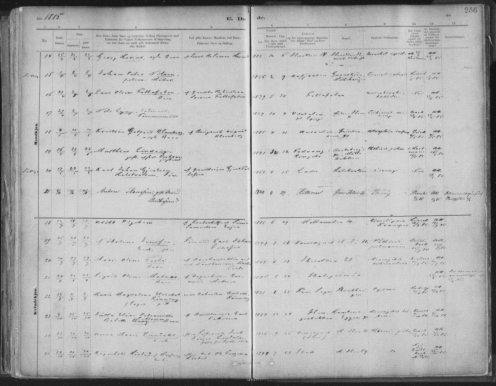 Ministerialprotokoller, klokkerbøker og fødselsregistre - Sør-Trøndelag, SAT/A-1456/603/L0162: Ministerialbok nr. 603A01, 1879-1895, s. 256