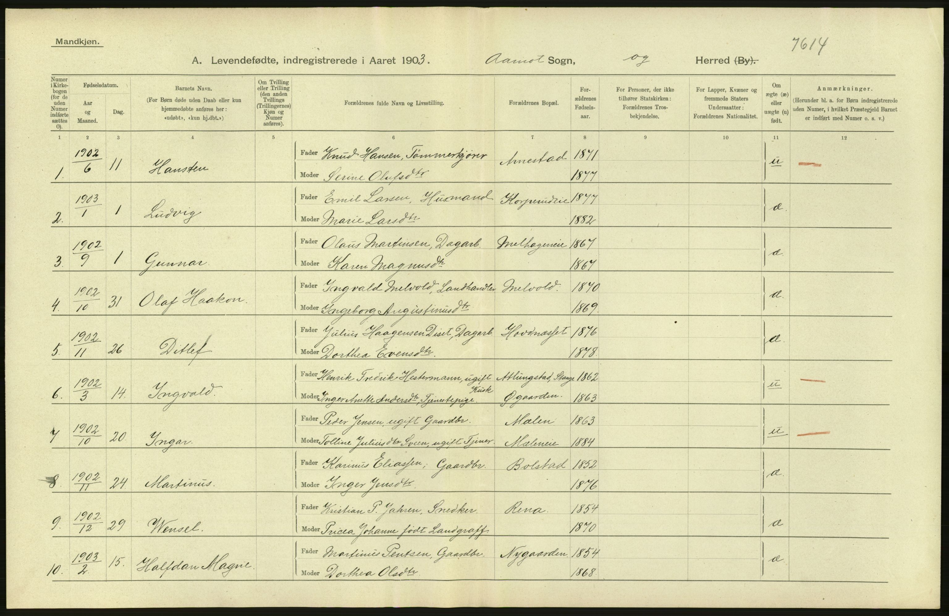 Statistisk sentralbyrå, Sosiodemografiske emner, Befolkning, AV/RA-S-2228/D/Df/Dfa/Dfaa/L0005: Hedemarkens amt: Fødte, gifte, døde, 1903, s. 18