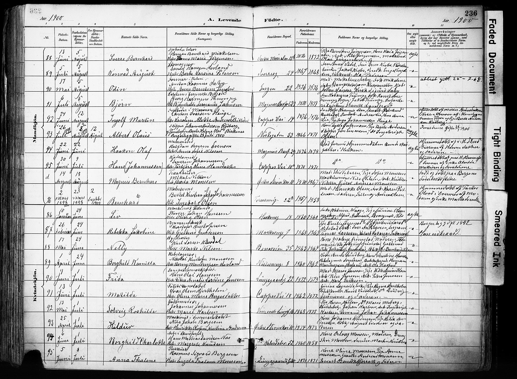 Domkirken sokneprestembete, AV/SAB-A-74801/H/Haa/L0024: Ministerialbok nr. B 7, 1888-1903, s. 236