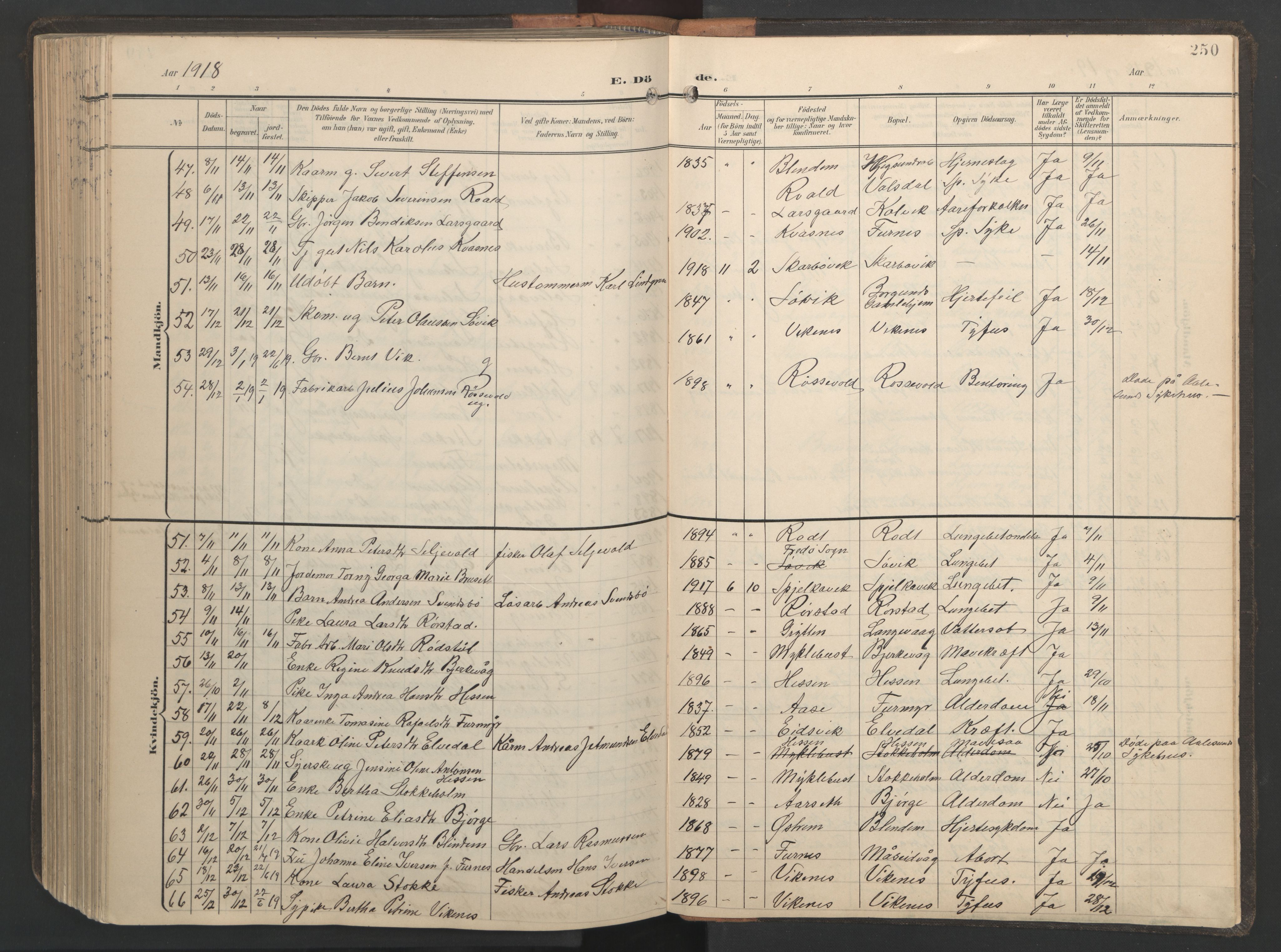 Ministerialprotokoller, klokkerbøker og fødselsregistre - Møre og Romsdal, AV/SAT-A-1454/528/L0433: Klokkerbok nr. 528C14, 1899-1922, s. 250