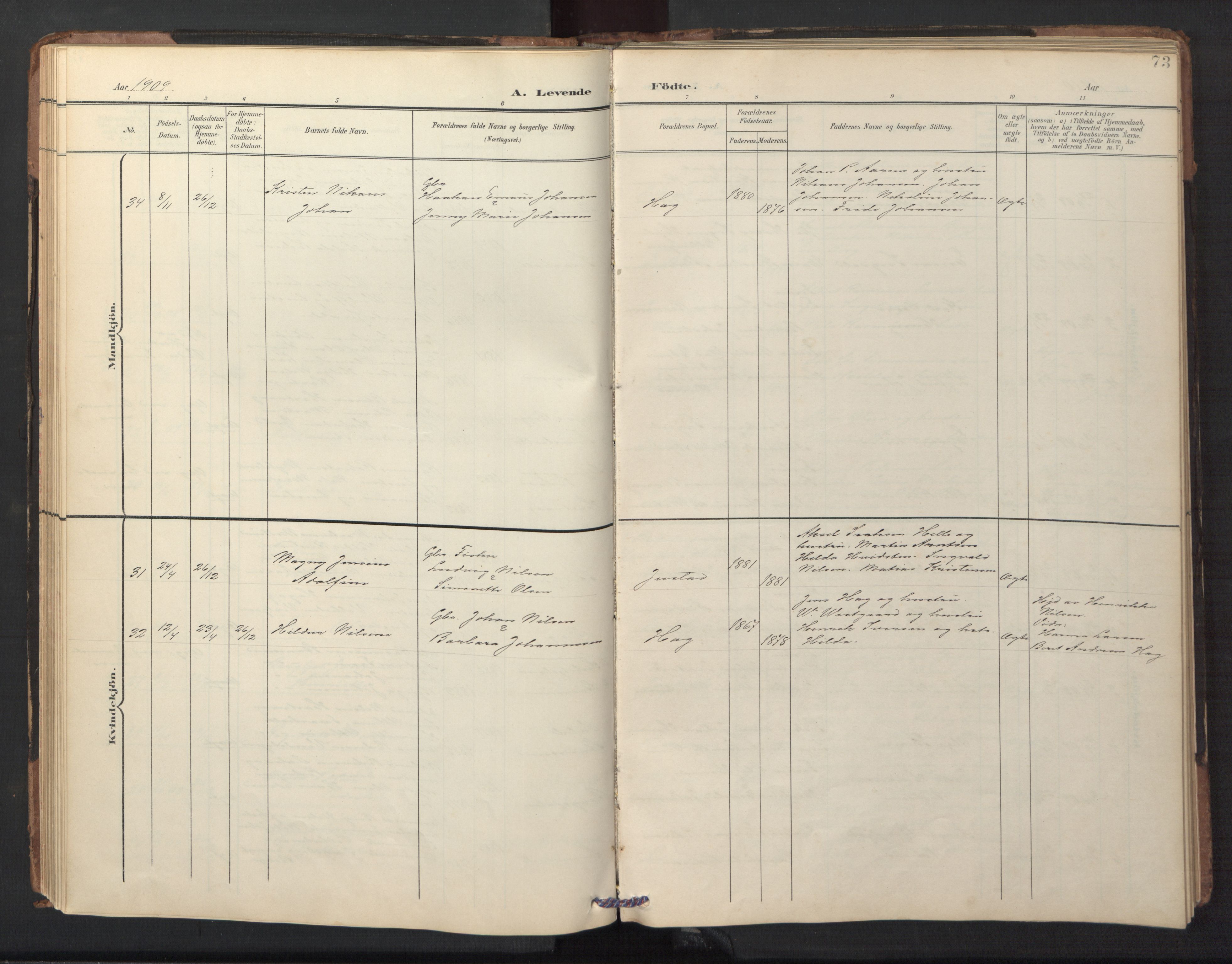 Ministerialprotokoller, klokkerbøker og fødselsregistre - Nordland, AV/SAT-A-1459/882/L1185: Klokkerbok nr. 882C03, 1898-1910, s. 73