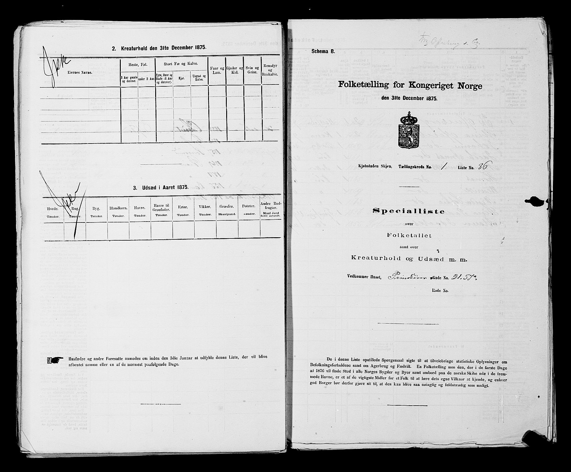 SAKO, Folketelling 1875 for 0806P Skien prestegjeld, 1875, s. 211