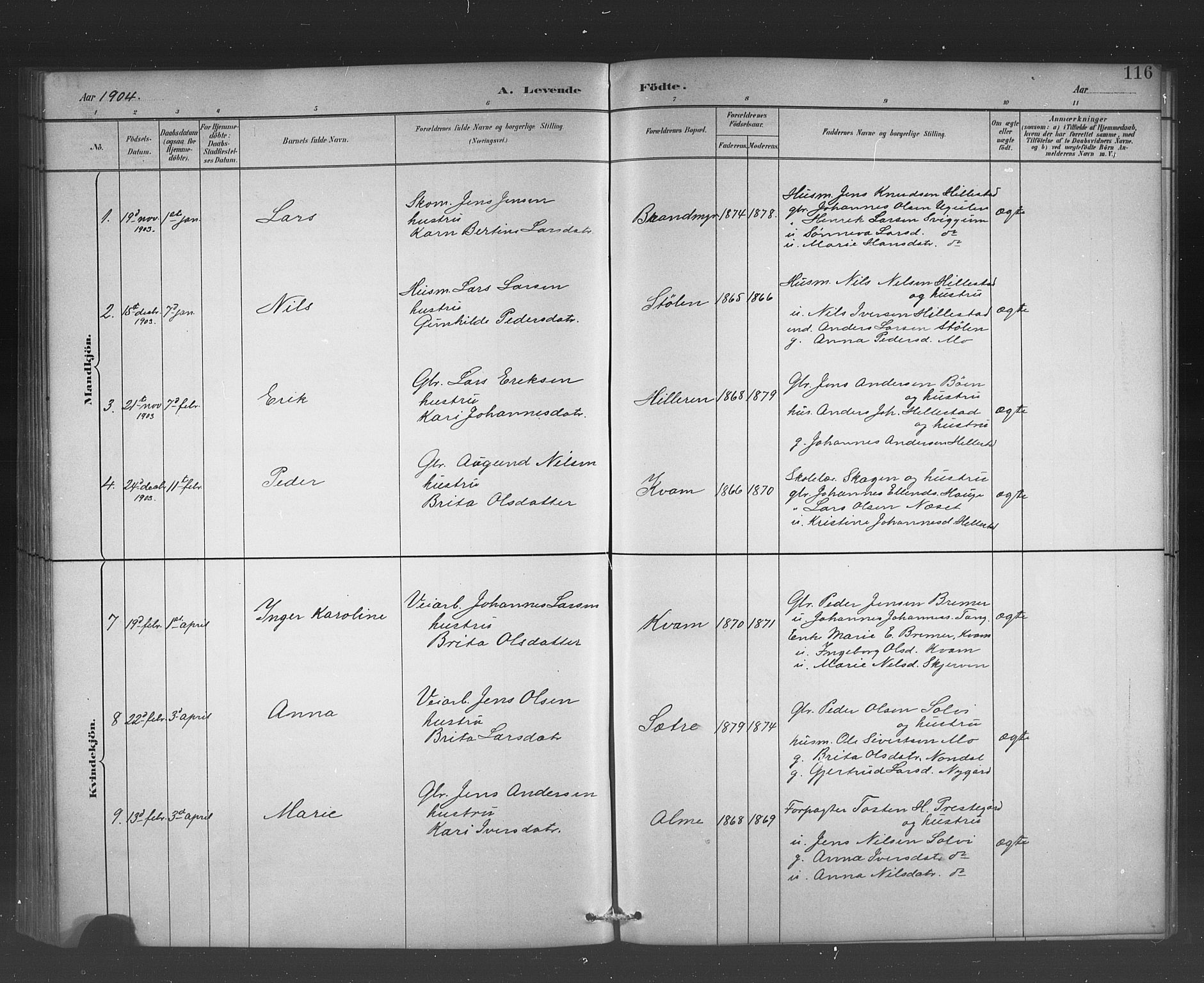Hafslo sokneprestembete, AV/SAB-A-80301/H/Hab/Habb/L0001: Klokkerbok nr. B 1, 1882-1908, s. 116