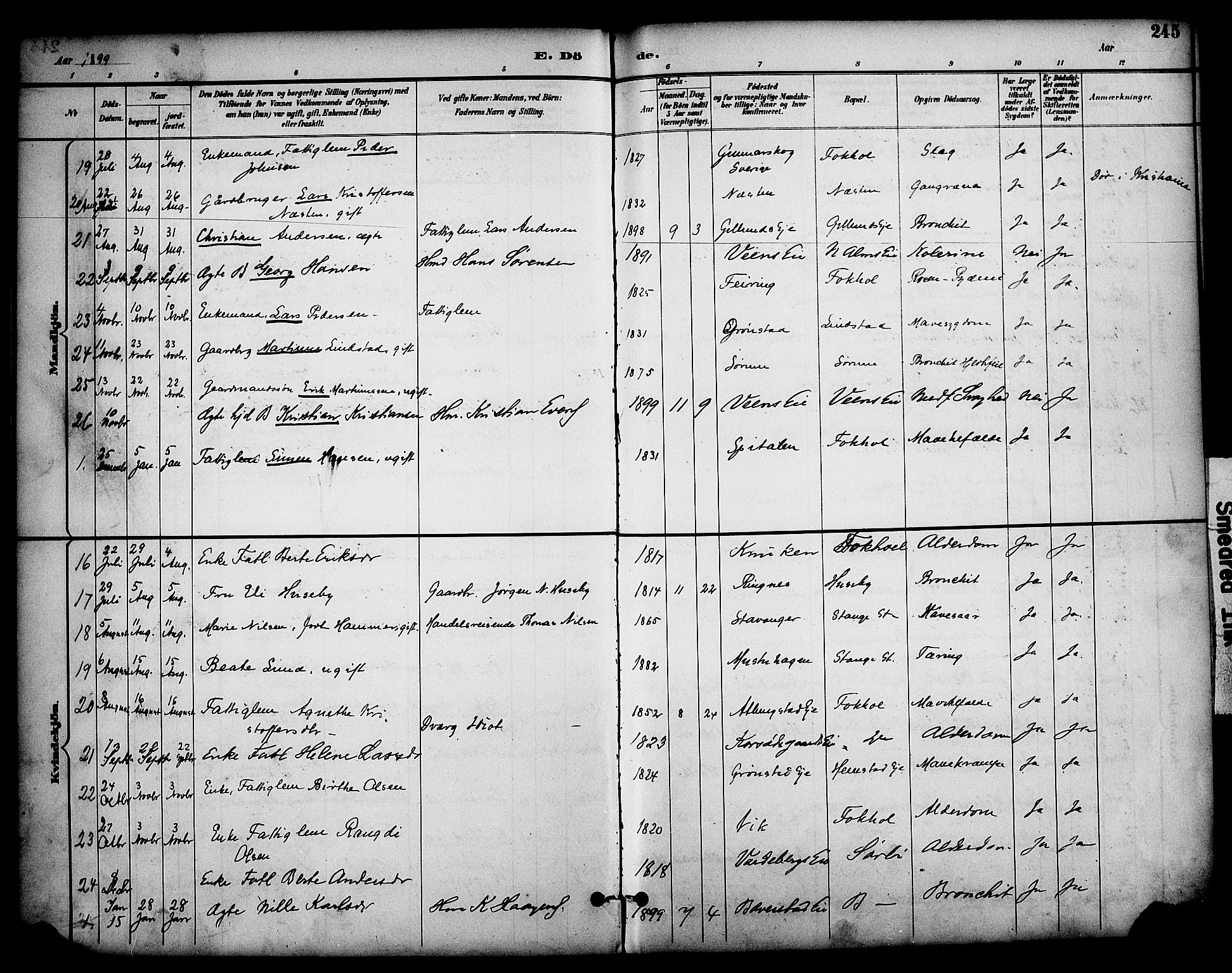 Stange prestekontor, AV/SAH-PREST-002/K/L0020: Ministerialbok nr. 20, 1894-1905, s. 245