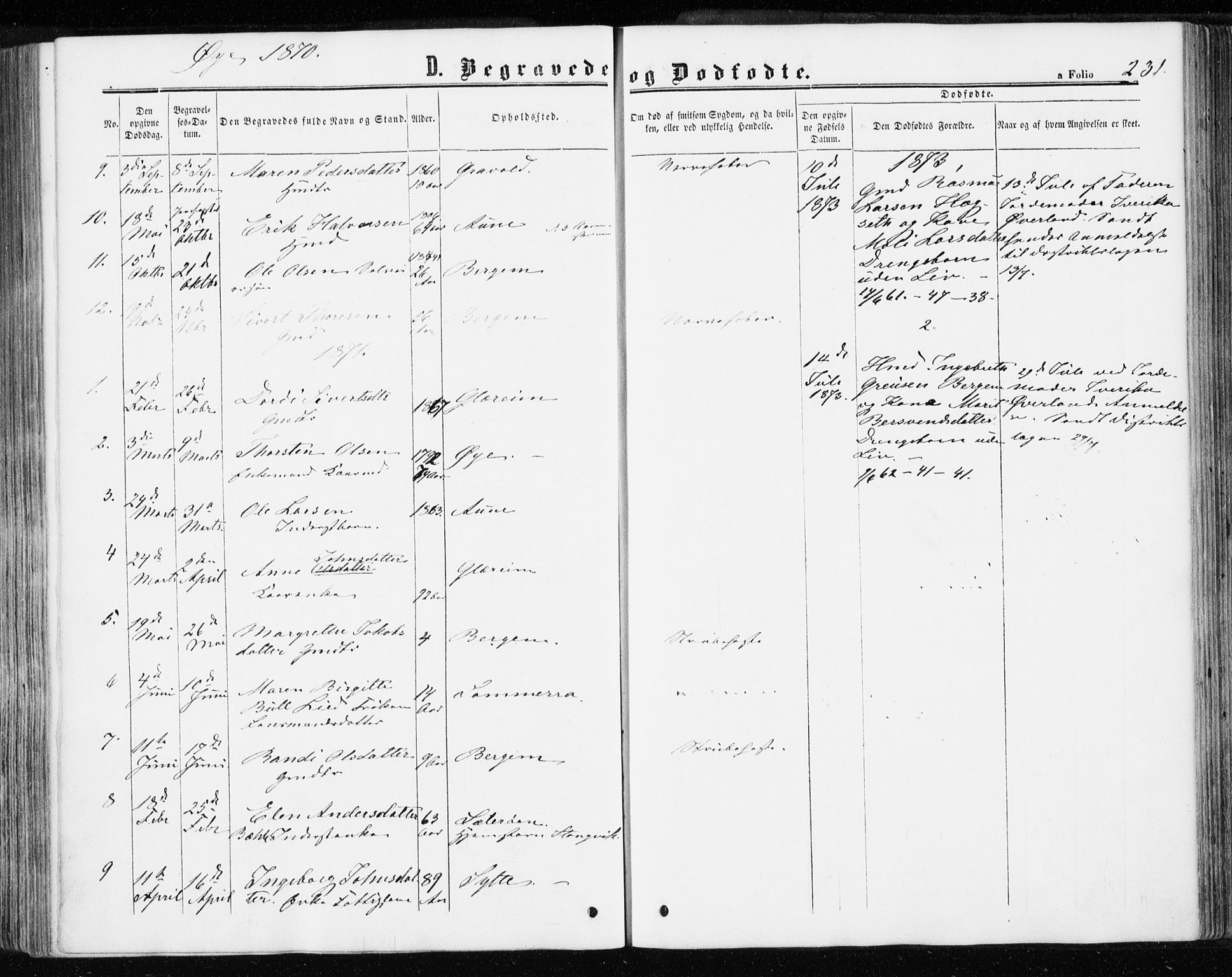 Ministerialprotokoller, klokkerbøker og fødselsregistre - Møre og Romsdal, AV/SAT-A-1454/595/L1045: Ministerialbok nr. 595A07, 1863-1873, s. 231