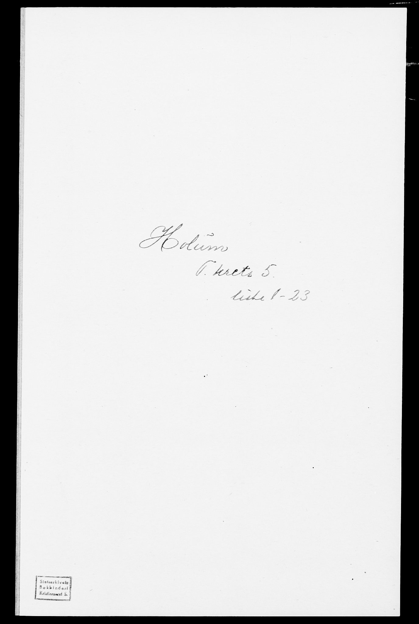 SAK, Folketelling 1875 for 1020P Holum prestegjeld, 1875, s. 523