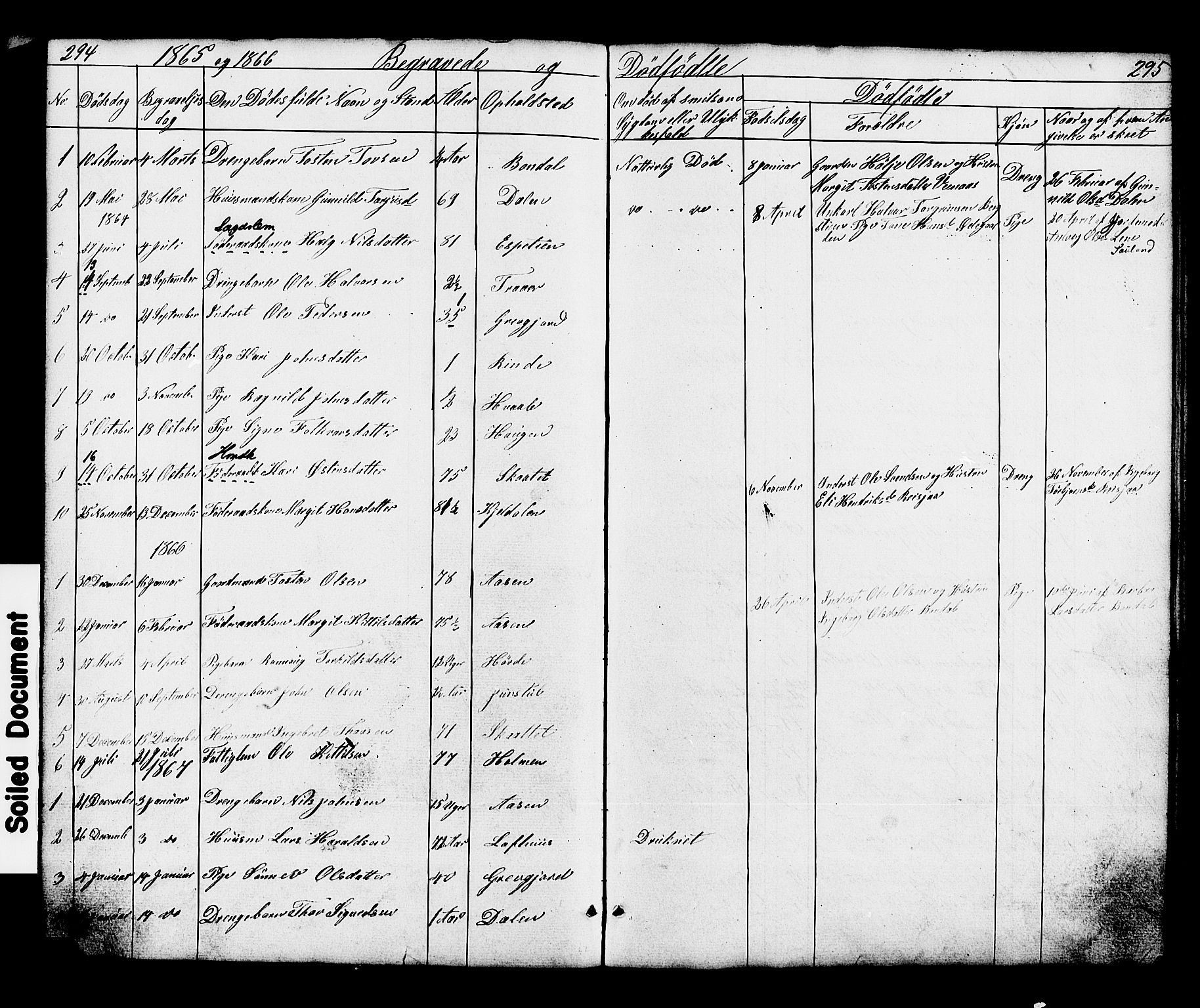 Hjartdal kirkebøker, AV/SAKO-A-270/G/Gc/L0002: Klokkerbok nr. III 2, 1854-1890, s. 294-295