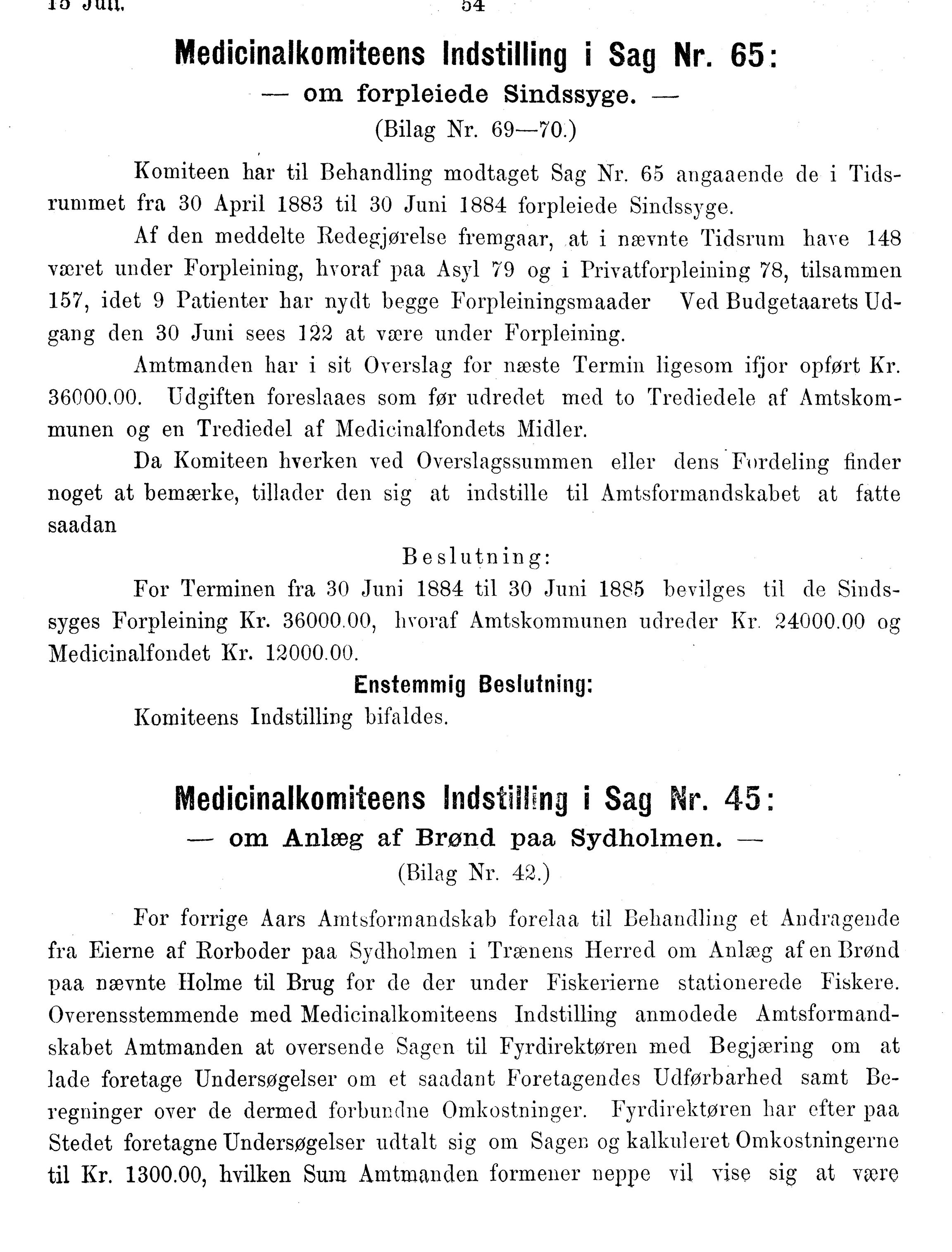 Nordland Fylkeskommune. Fylkestinget, AIN/NFK-17/176/A/Ac/L0014: Fylkestingsforhandlinger 1881-1885, 1881-1885