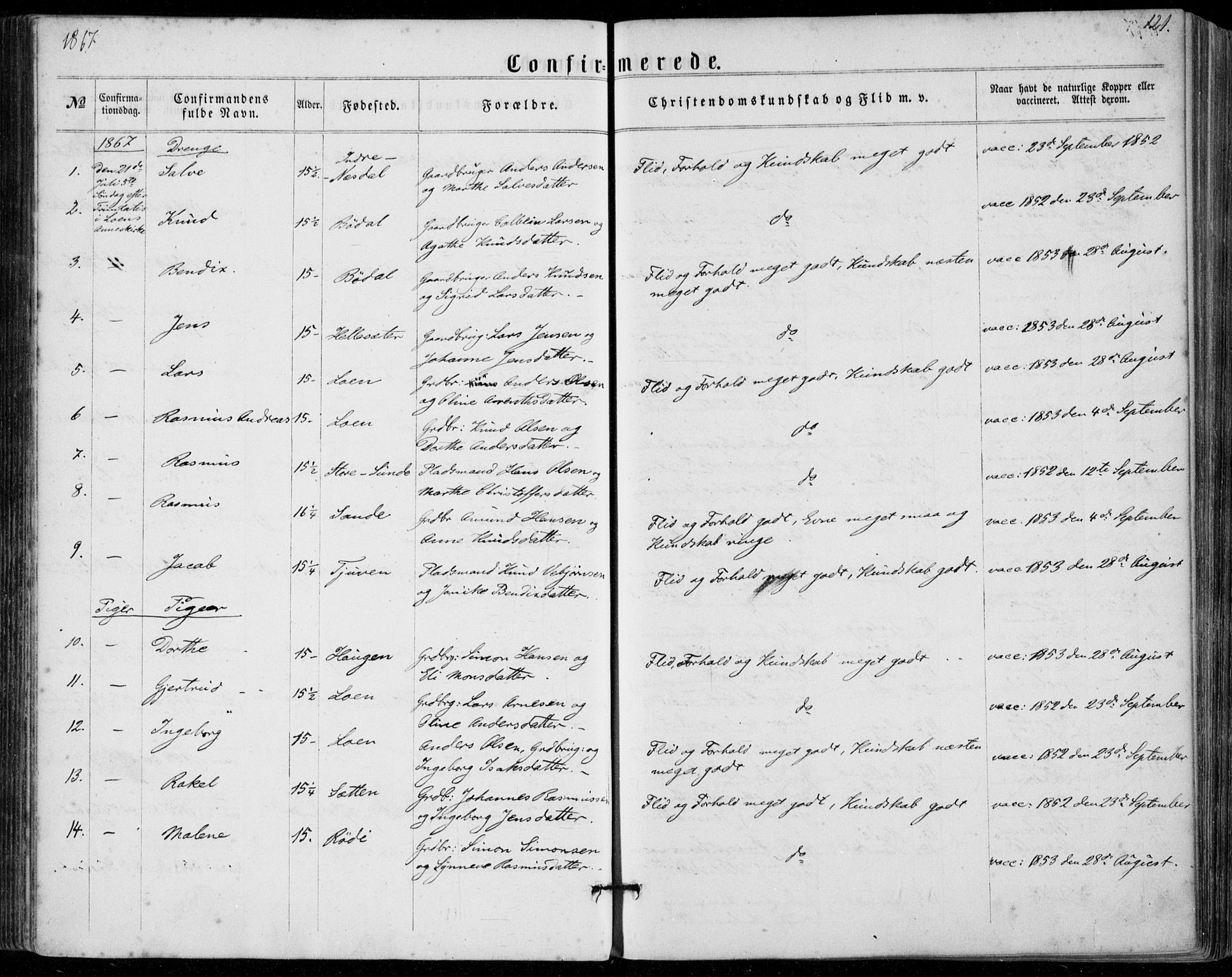 Stryn Sokneprestembete, AV/SAB-A-82501: Ministerialbok nr. A 3, 1862-1877, s. 121