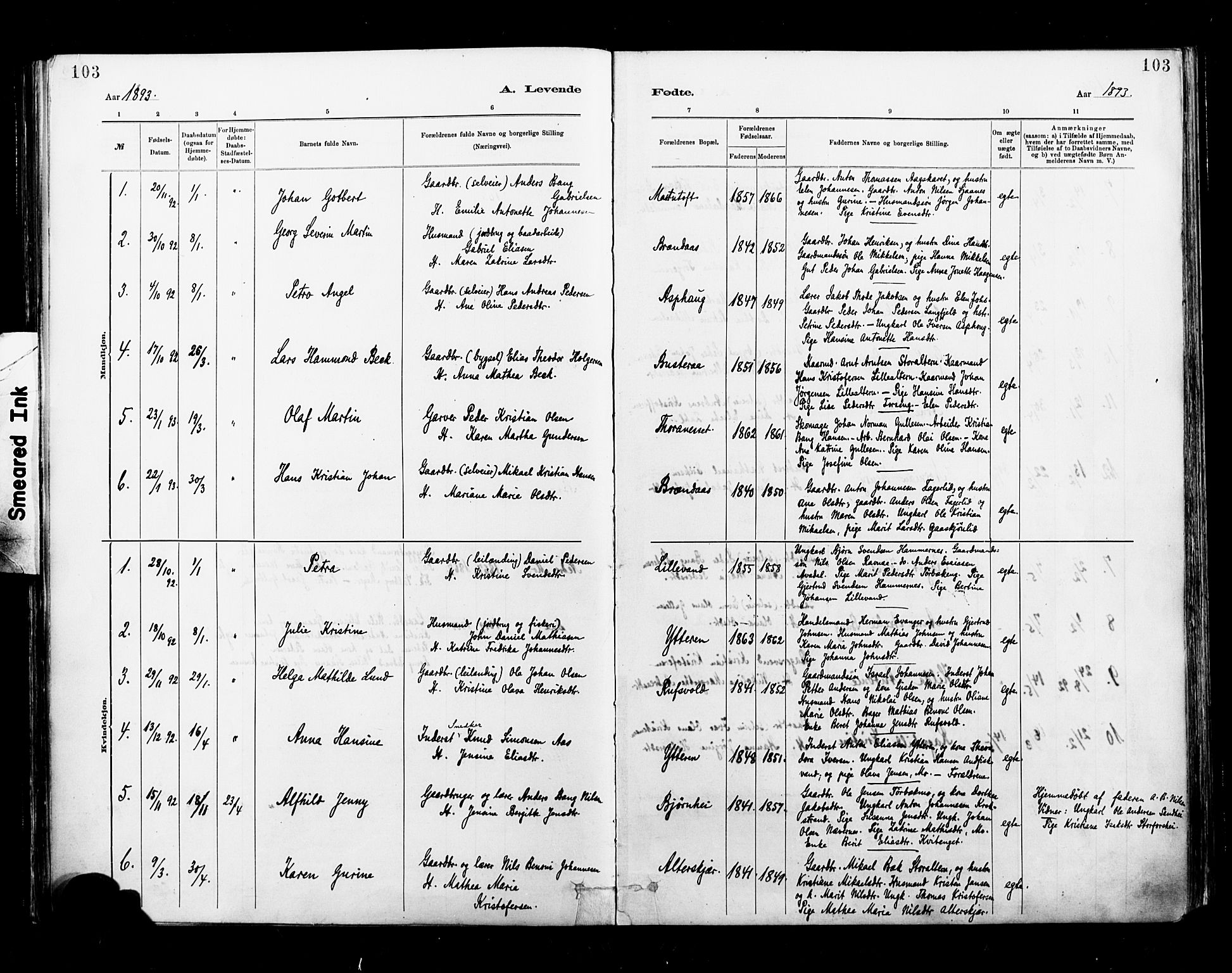 Ministerialprotokoller, klokkerbøker og fødselsregistre - Nordland, AV/SAT-A-1459/827/L0400: Ministerialbok nr. 827A12, 1883-1903, s. 103