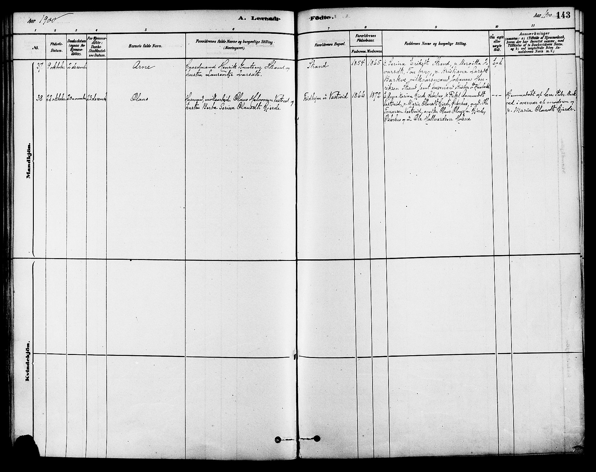 Strand sokneprestkontor, SAST/A-101828/H/Ha/Haa/L0009: Ministerialbok nr. A 9, 1877-1908, s. 143
