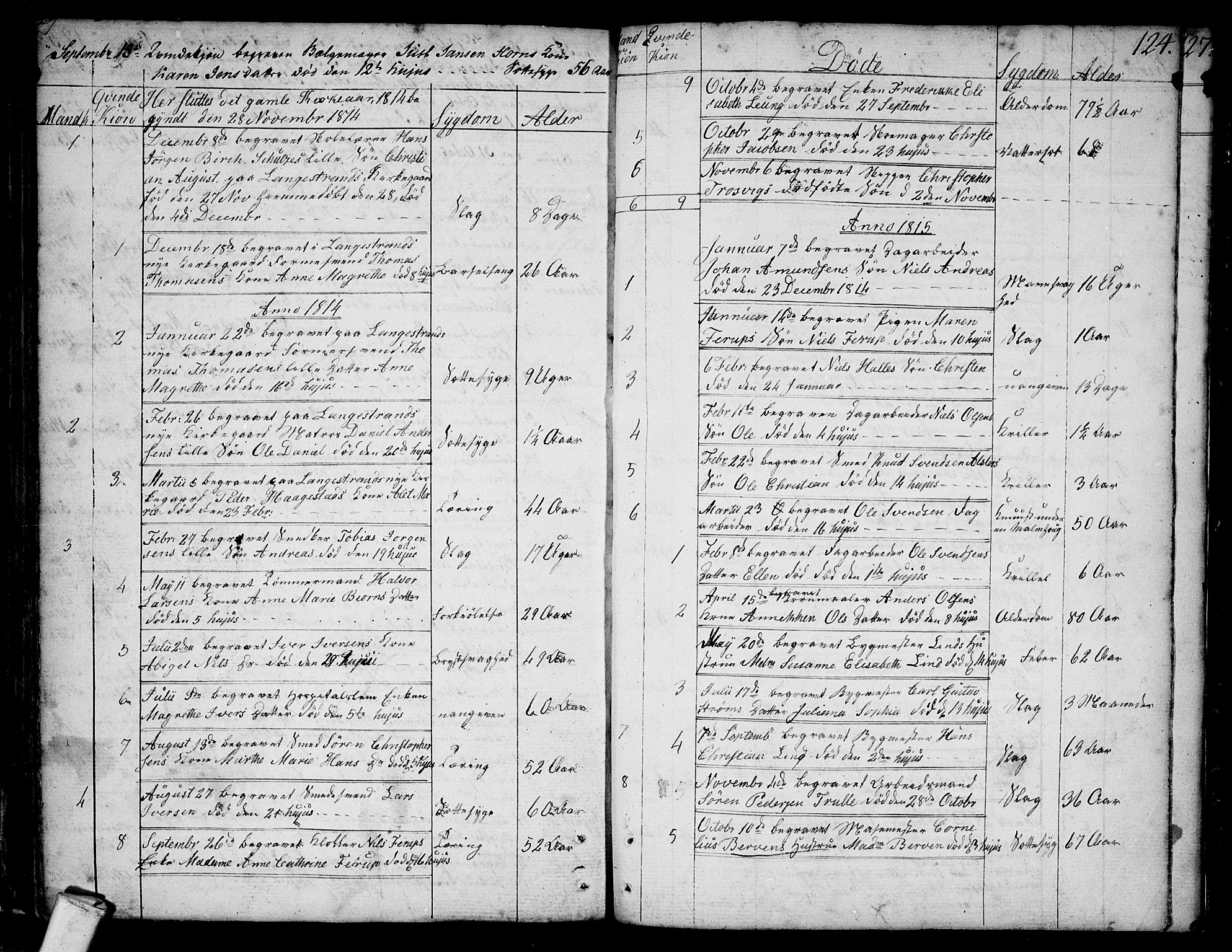 Larvik kirkebøker, AV/SAKO-A-352/F/Fb/L0001: Ministerialbok nr. II 1, 1779-1817, s. 124