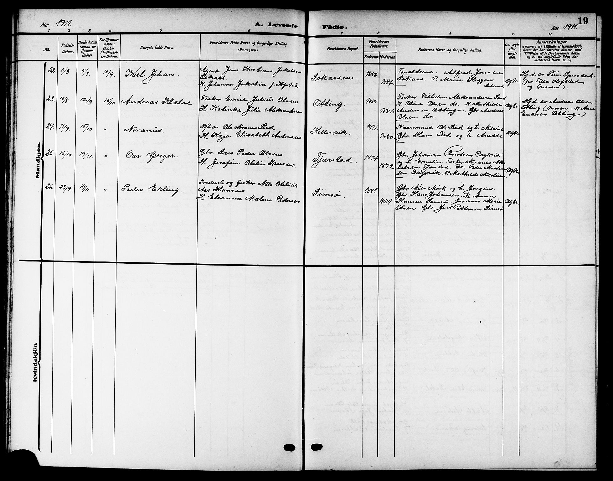 Ministerialprotokoller, klokkerbøker og fødselsregistre - Nordland, SAT/A-1459/832/L0494: Klokkerbok nr. 832C01, 1906-1922, s. 19