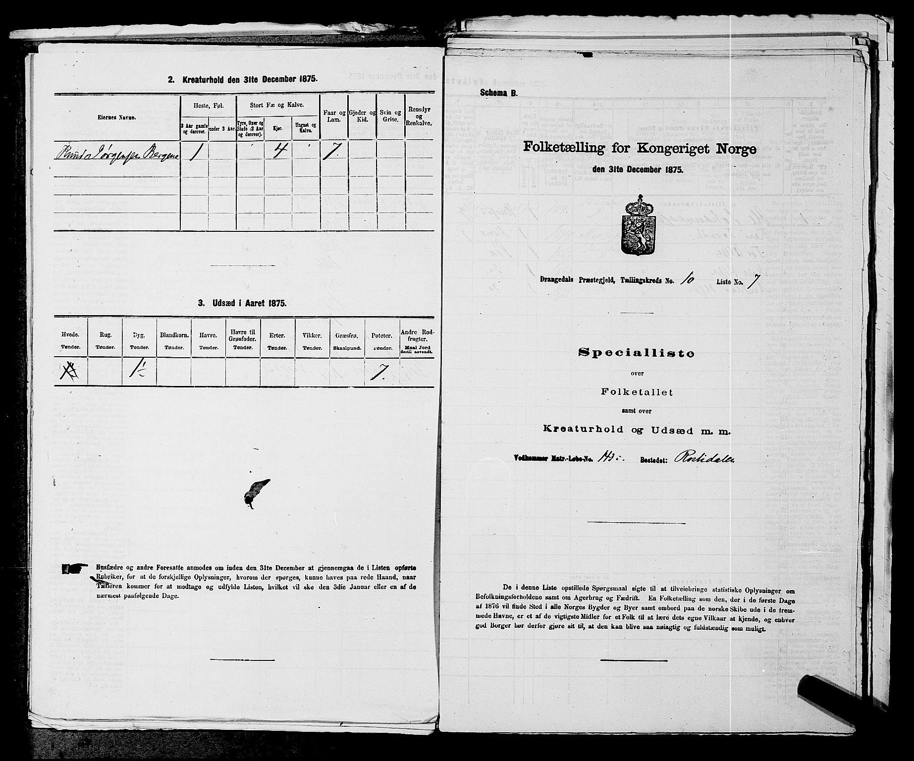 SAKO, Folketelling 1875 for 0817P Drangedal prestegjeld, 1875, s. 1017