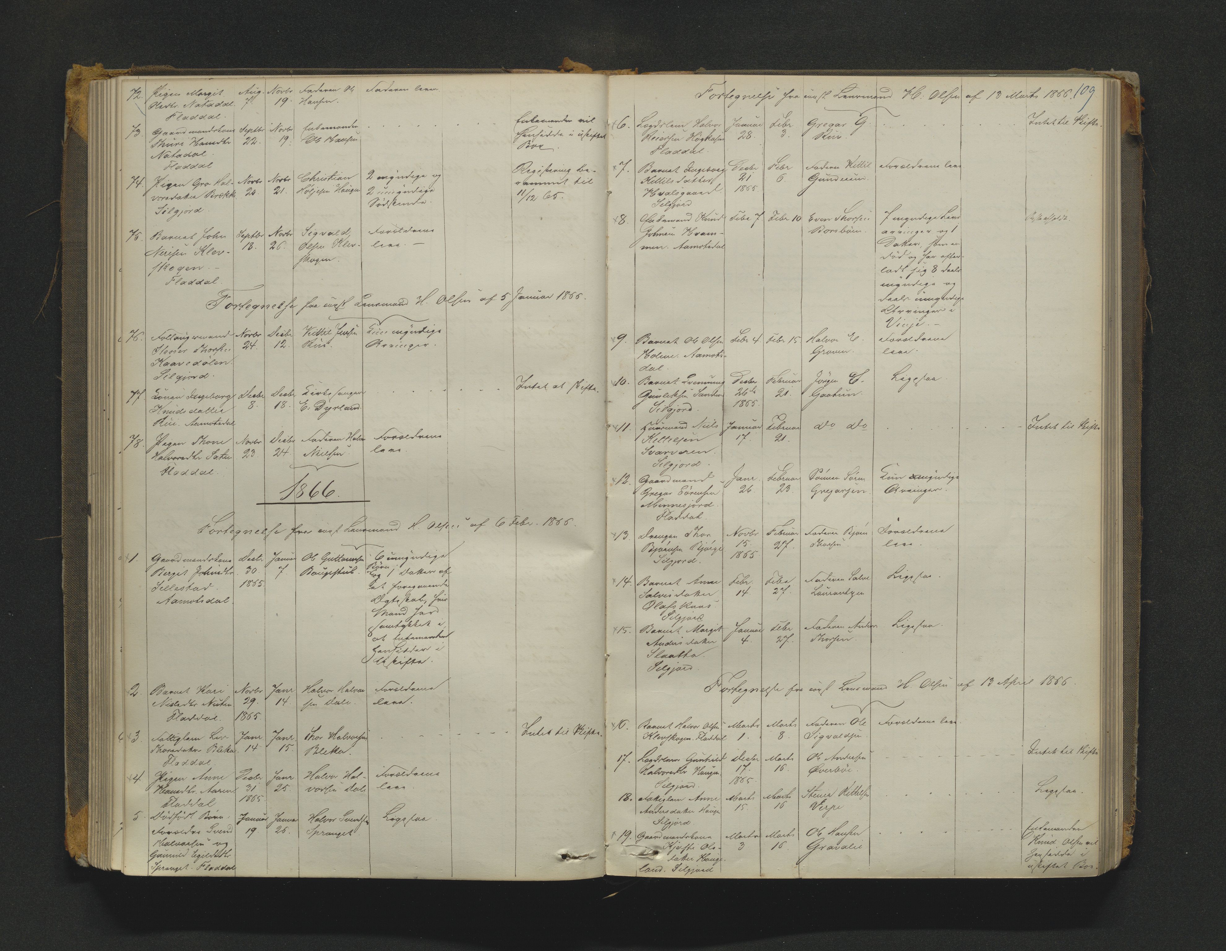 Øvre Telemark østfjelske sorenskriveri, AV/SAKO-A-213/H/Ha/Haa/L0001: Dødsanmeldelsesprotokoll, 1862-1899, s. 109