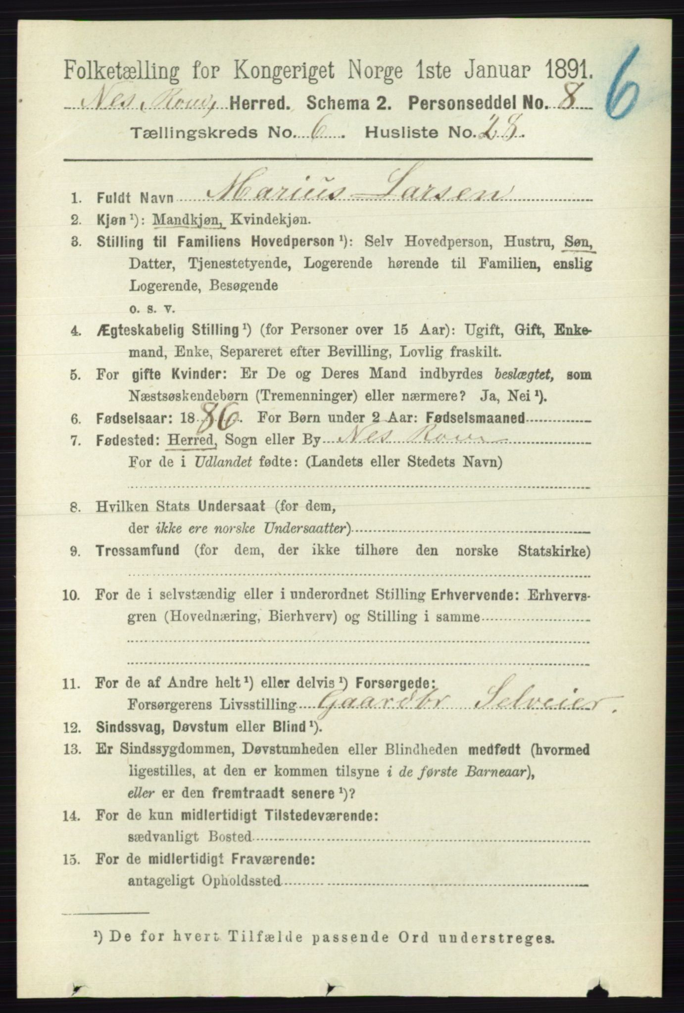 RA, Folketelling 1891 for 0236 Nes herred, 1891, s. 3556
