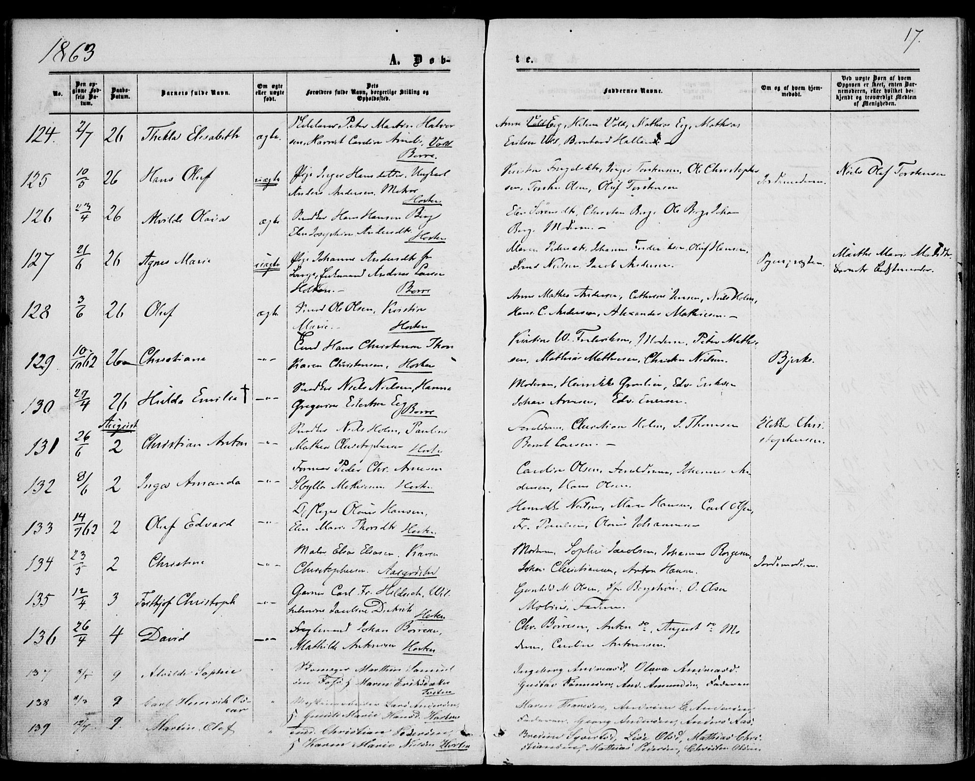 Borre kirkebøker, AV/SAKO-A-338/F/Fa/L0007: Ministerialbok nr. I 7, 1862-1867, s. 17