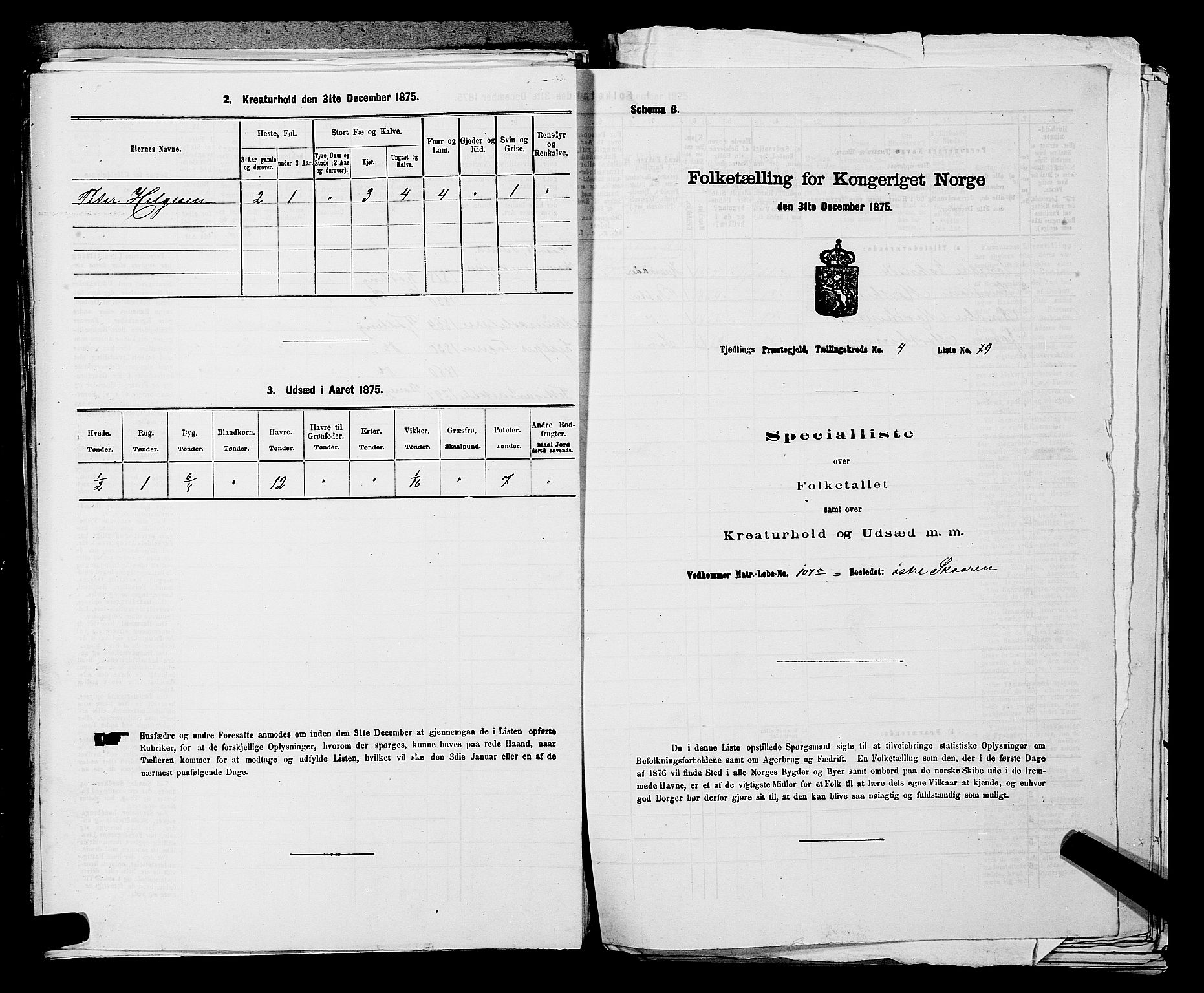 SAKO, Folketelling 1875 for 0725P Tjølling prestegjeld, 1875, s. 877