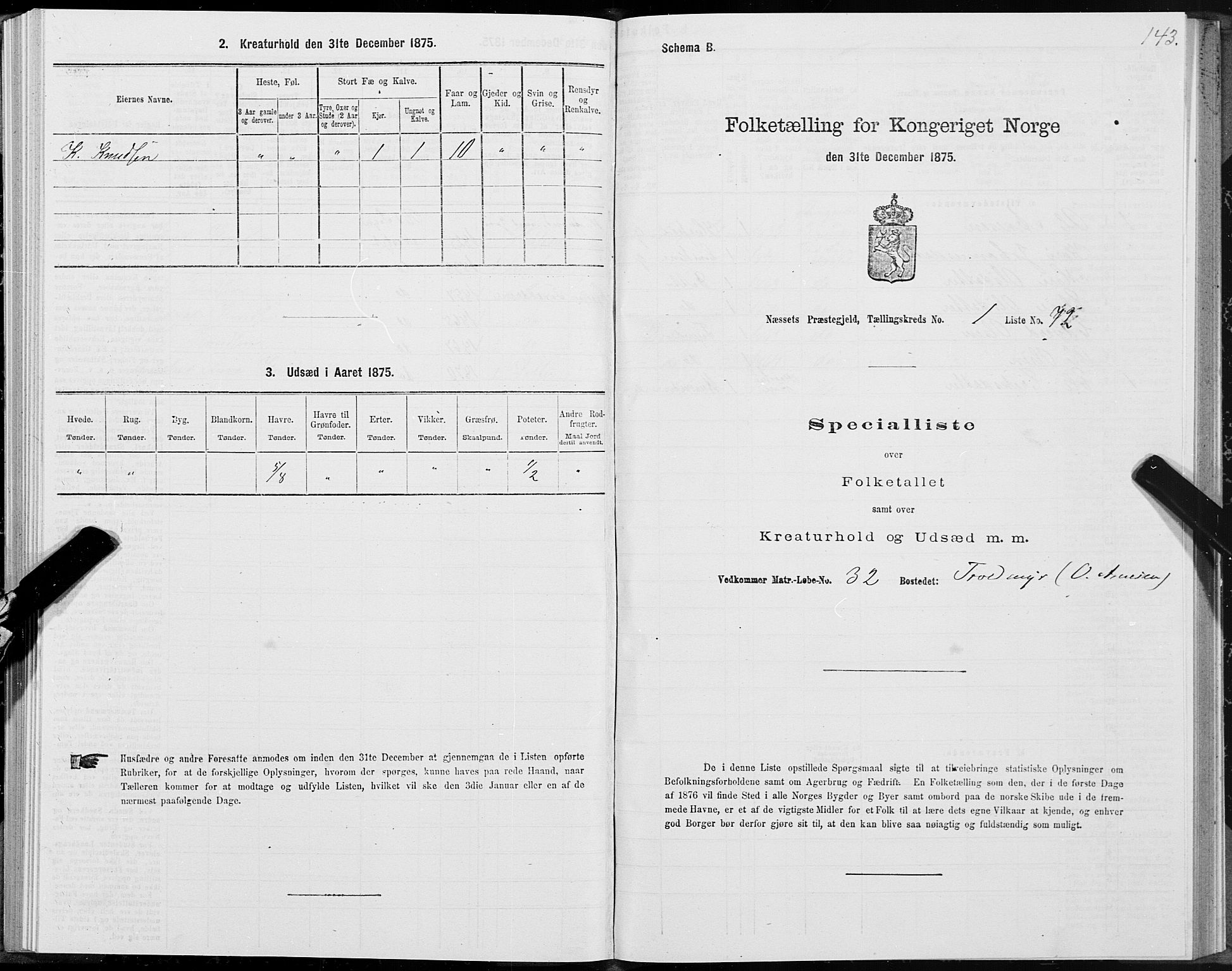 SAT, Folketelling 1875 for 1543P Nesset prestegjeld, 1875, s. 1143