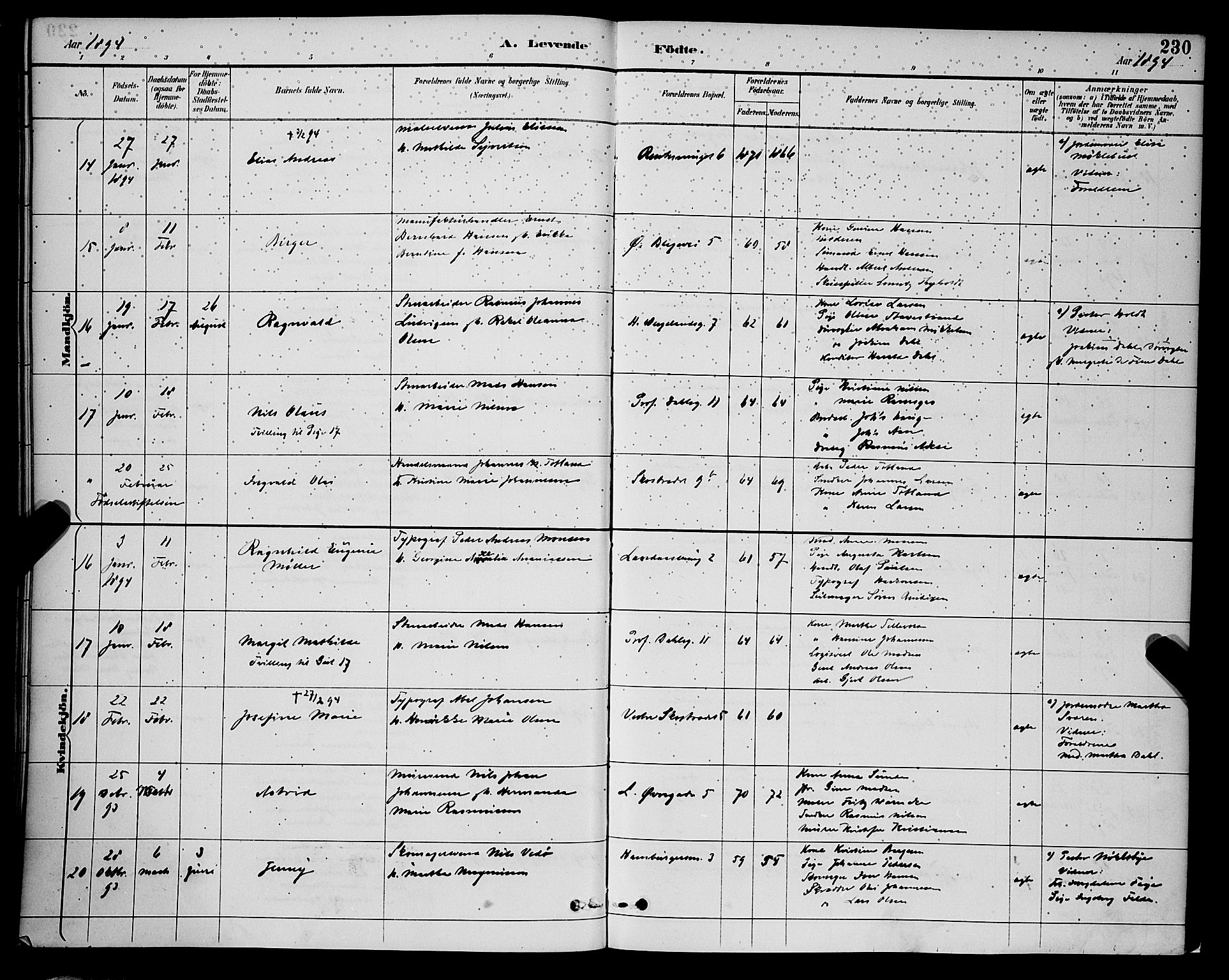 Korskirken sokneprestembete, AV/SAB-A-76101/H/Hab: Klokkerbok nr. B 9, 1887-1896, s. 230