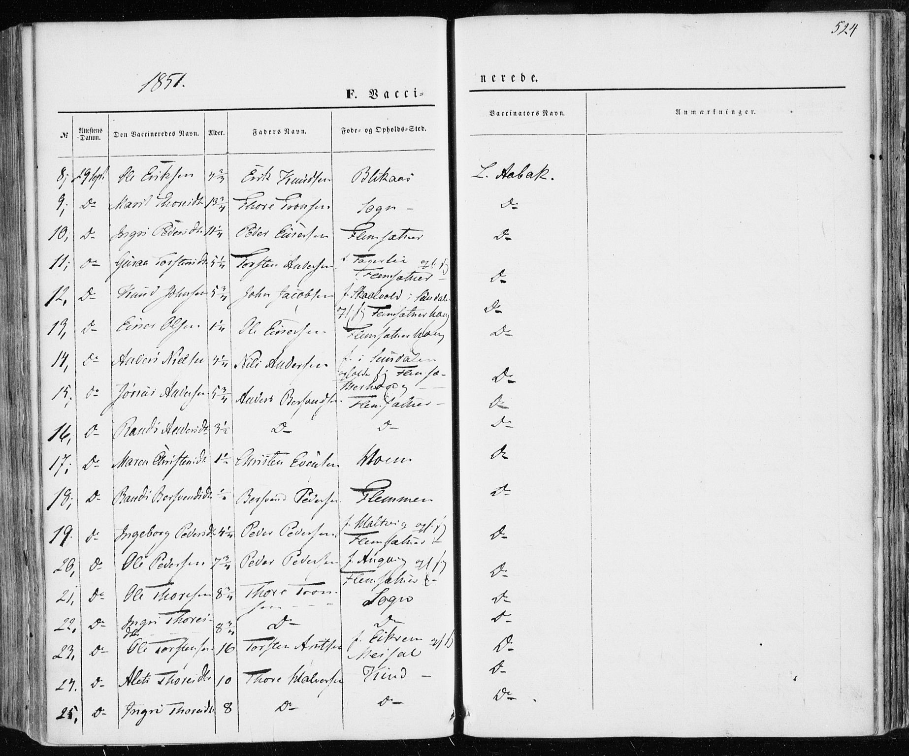 Ministerialprotokoller, klokkerbøker og fødselsregistre - Møre og Romsdal, AV/SAT-A-1454/586/L0984: Ministerialbok nr. 586A10, 1844-1856, s. 524