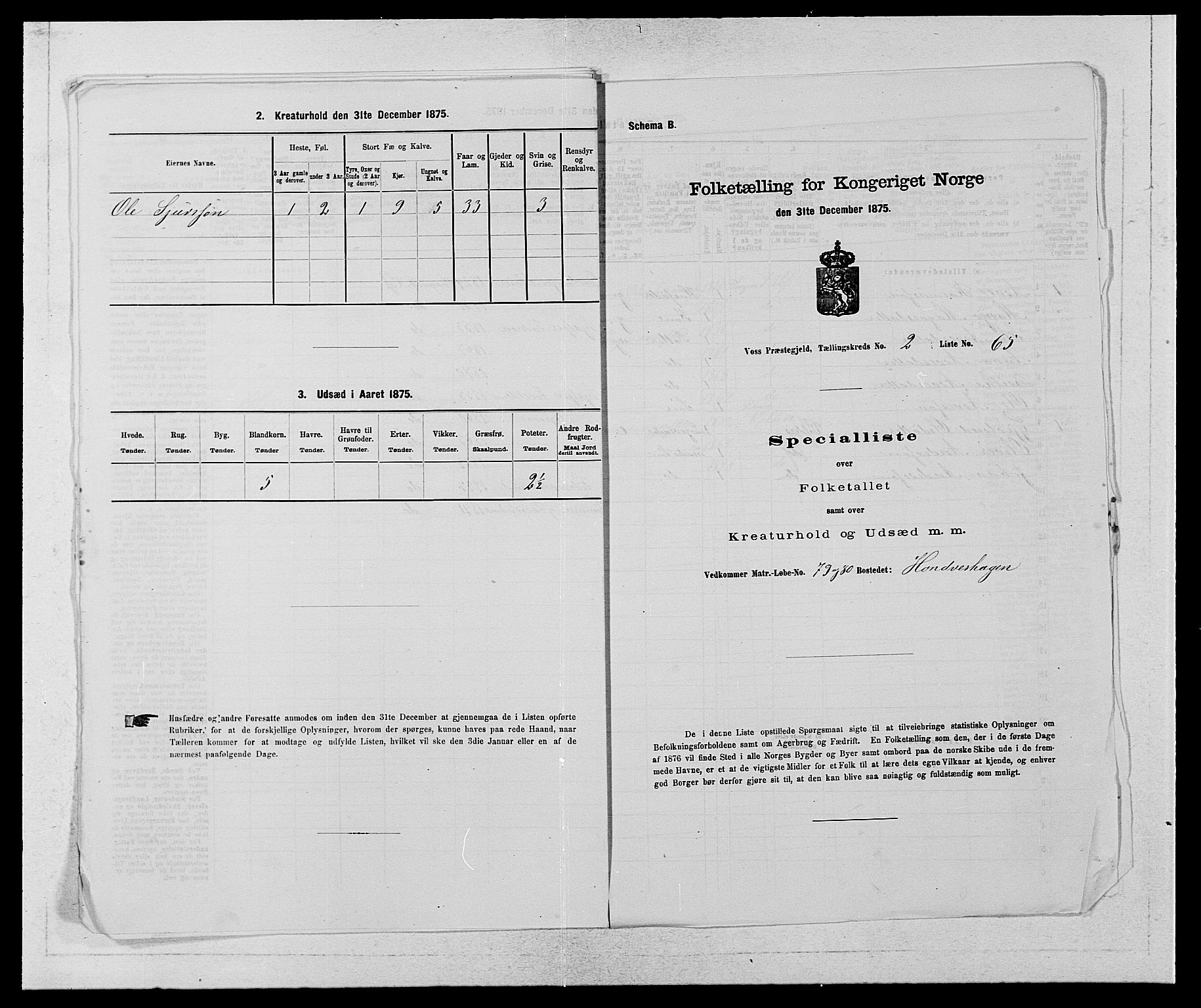 SAB, Folketelling 1875 for 1235P Voss prestegjeld, 1875, s. 271