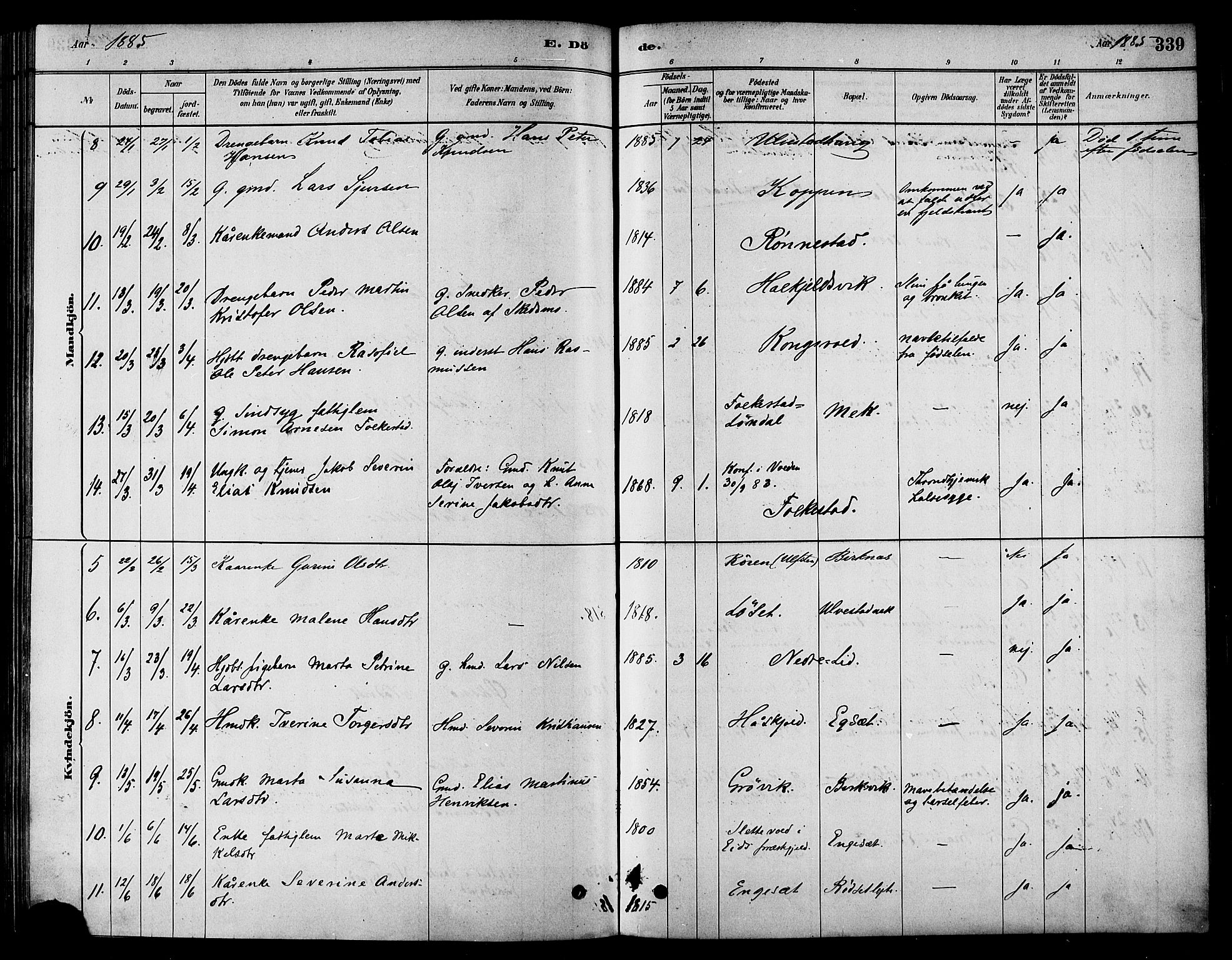 Ministerialprotokoller, klokkerbøker og fødselsregistre - Møre og Romsdal, AV/SAT-A-1454/511/L0141: Ministerialbok nr. 511A08, 1878-1890, s. 339
