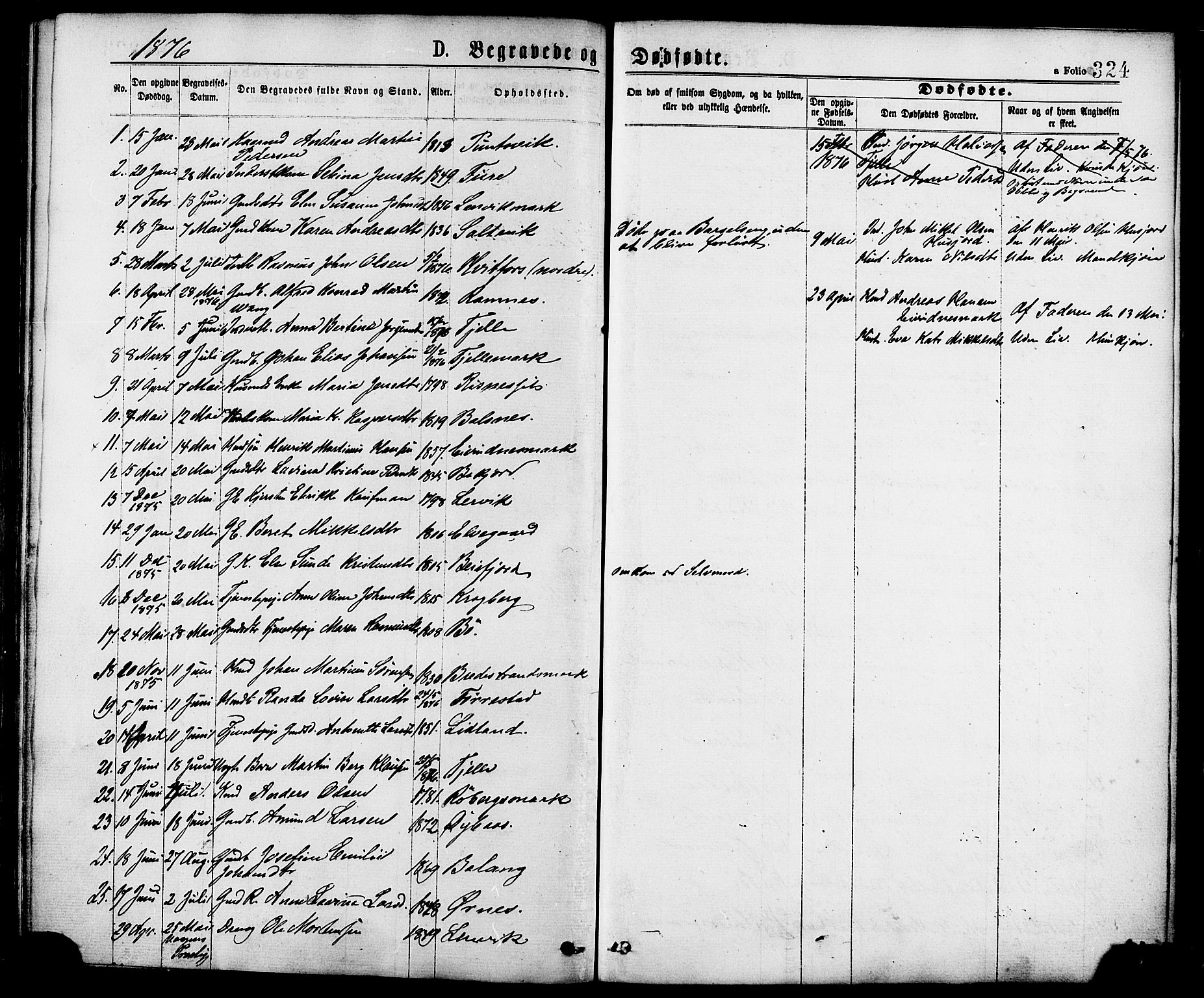 Ministerialprotokoller, klokkerbøker og fødselsregistre - Nordland, AV/SAT-A-1459/863/L0897: Ministerialbok nr. 863A09, 1872-1886, s. 324