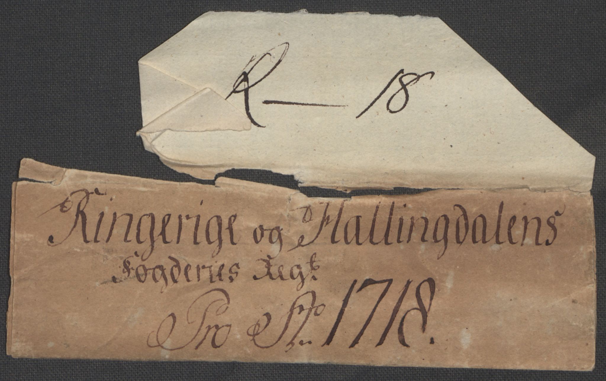 Rentekammeret inntil 1814, Reviderte regnskaper, Fogderegnskap, RA/EA-4092/R23/L1476: Fogderegnskap Ringerike og Hallingdal, 1718, s. 305