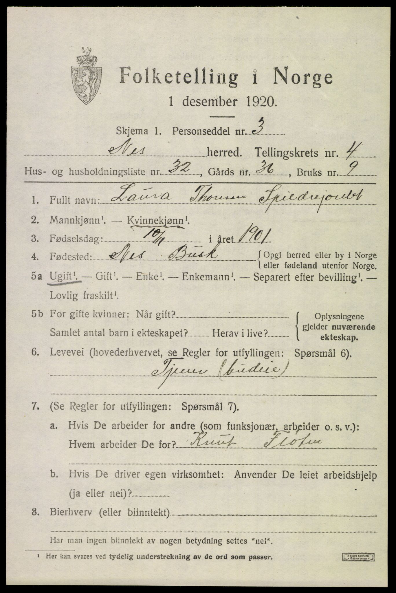 SAKO, Folketelling 1920 for 0616 Nes herred, 1920, s. 2370