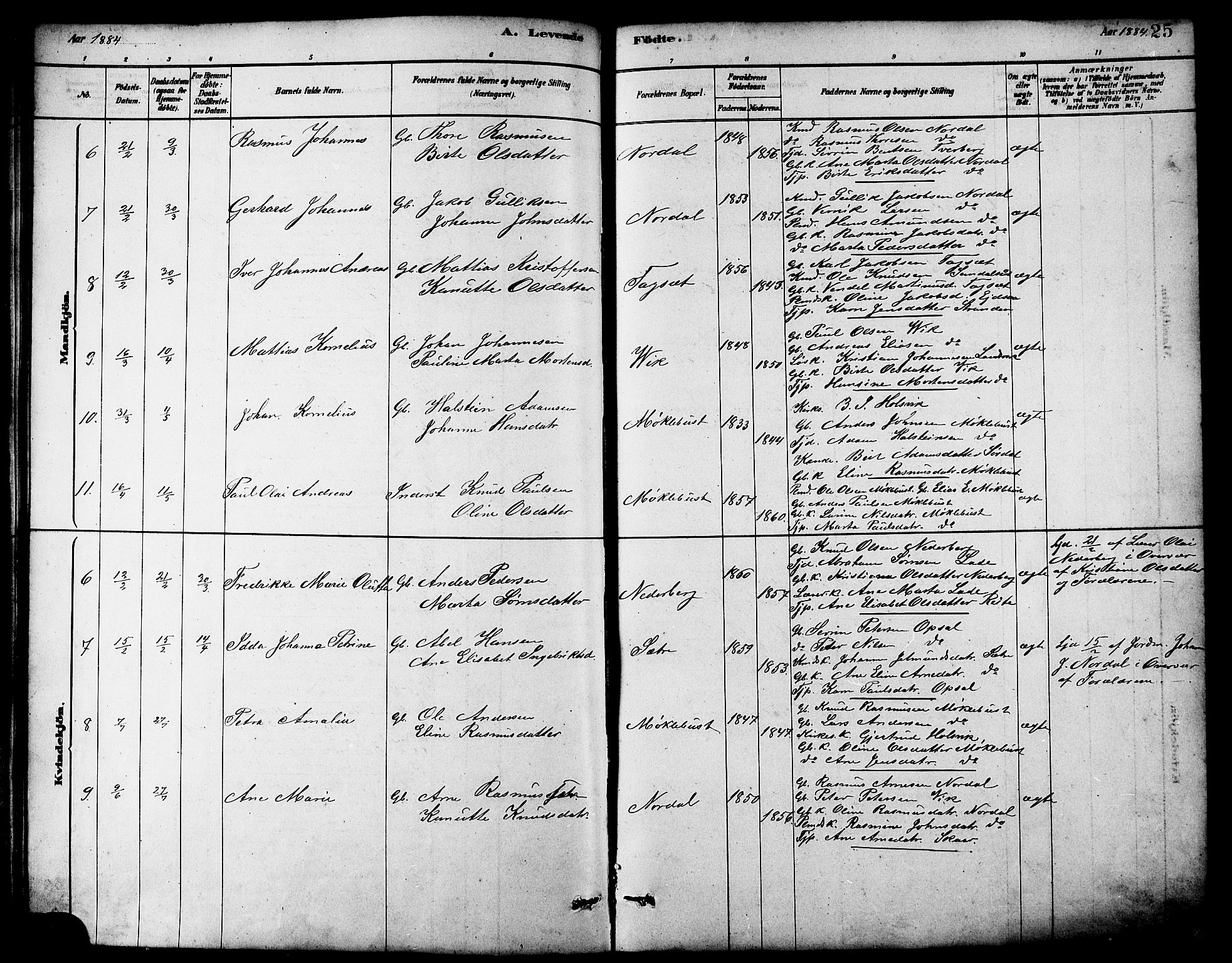 Ministerialprotokoller, klokkerbøker og fødselsregistre - Møre og Romsdal, AV/SAT-A-1454/502/L0027: Klokkerbok nr. 502C01, 1878-1908, s. 25