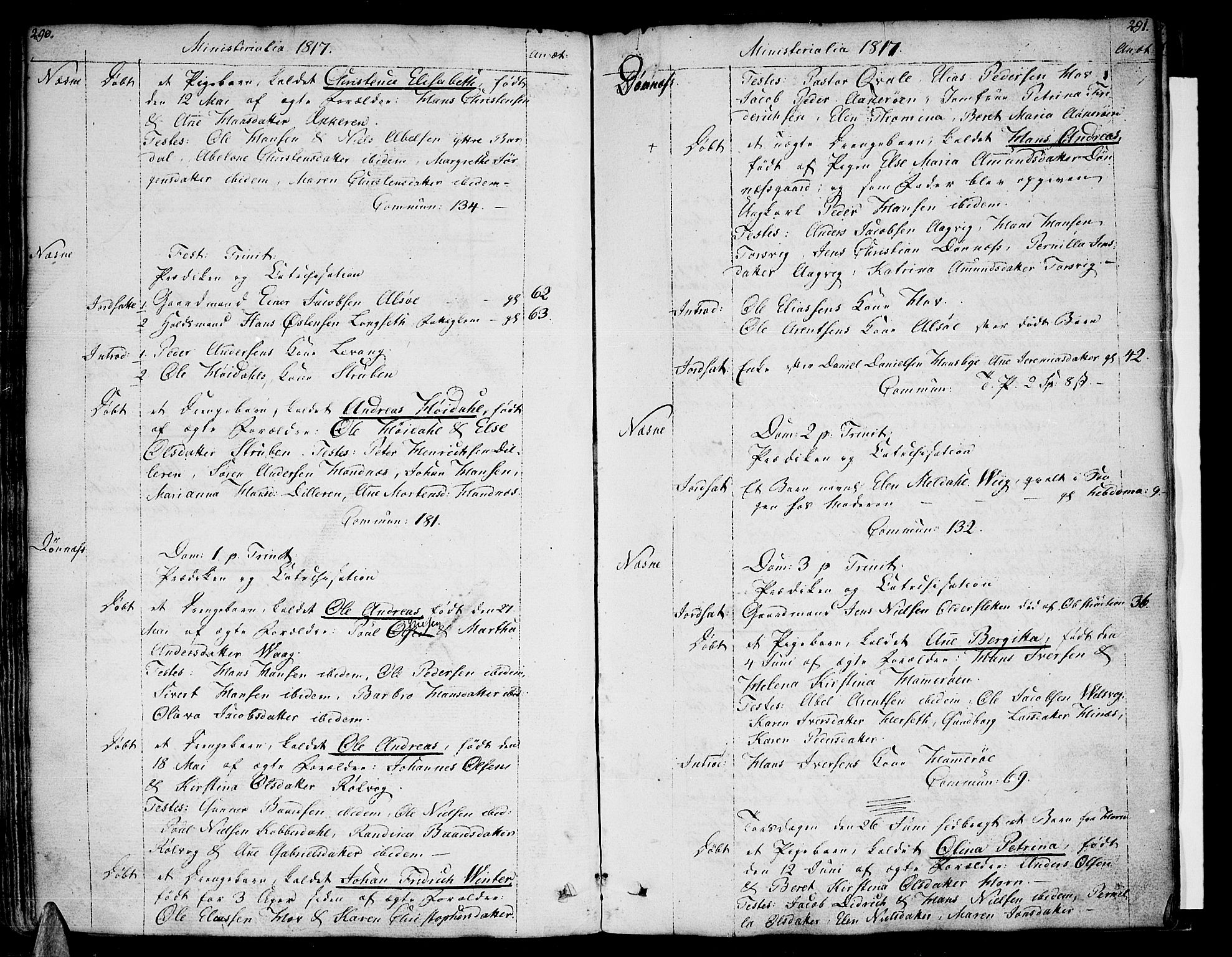 Ministerialprotokoller, klokkerbøker og fødselsregistre - Nordland, AV/SAT-A-1459/838/L0545: Ministerialbok nr. 838A04, 1791-1820, s. 290-291