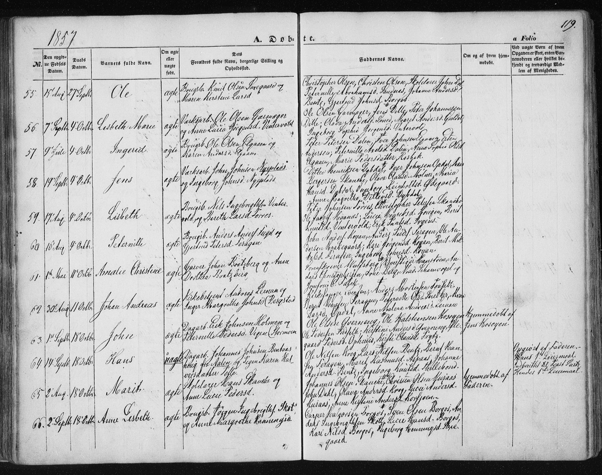 Ministerialprotokoller, klokkerbøker og fødselsregistre - Sør-Trøndelag, SAT/A-1456/681/L0931: Ministerialbok nr. 681A09, 1845-1859, s. 119