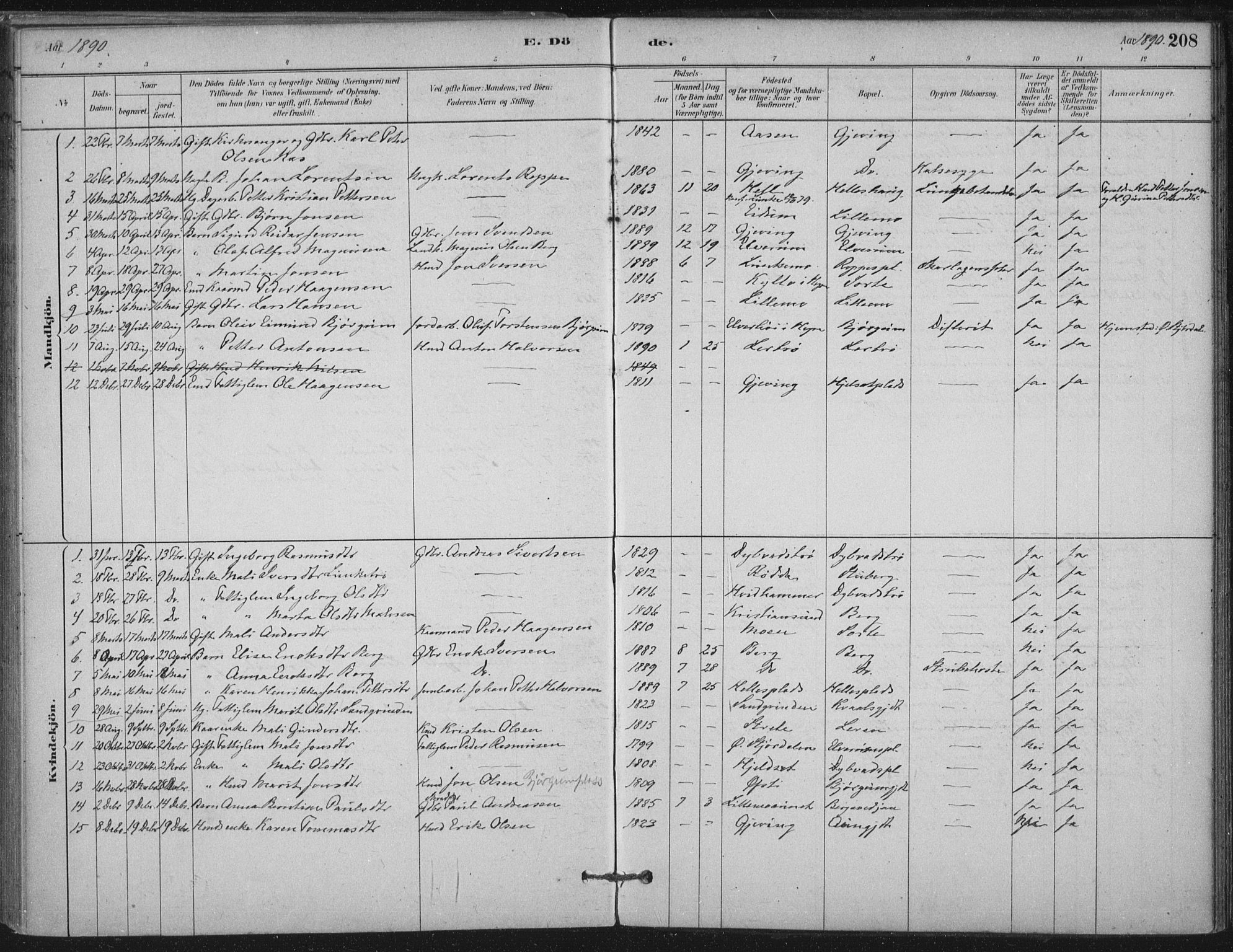 Ministerialprotokoller, klokkerbøker og fødselsregistre - Nord-Trøndelag, SAT/A-1458/710/L0095: Ministerialbok nr. 710A01, 1880-1914, s. 208