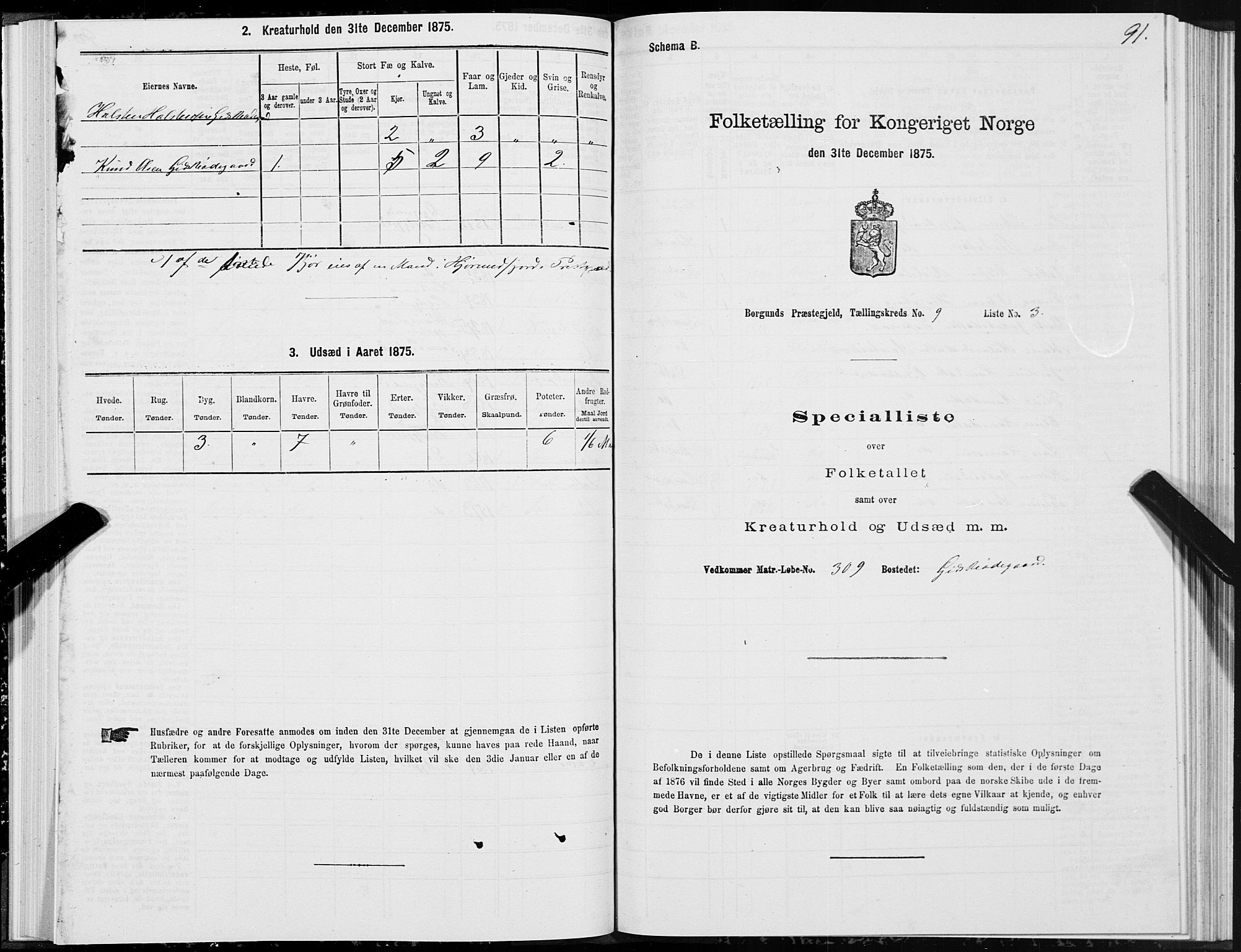 SAT, Folketelling 1875 for 1531P Borgund prestegjeld, 1875, s. 5091