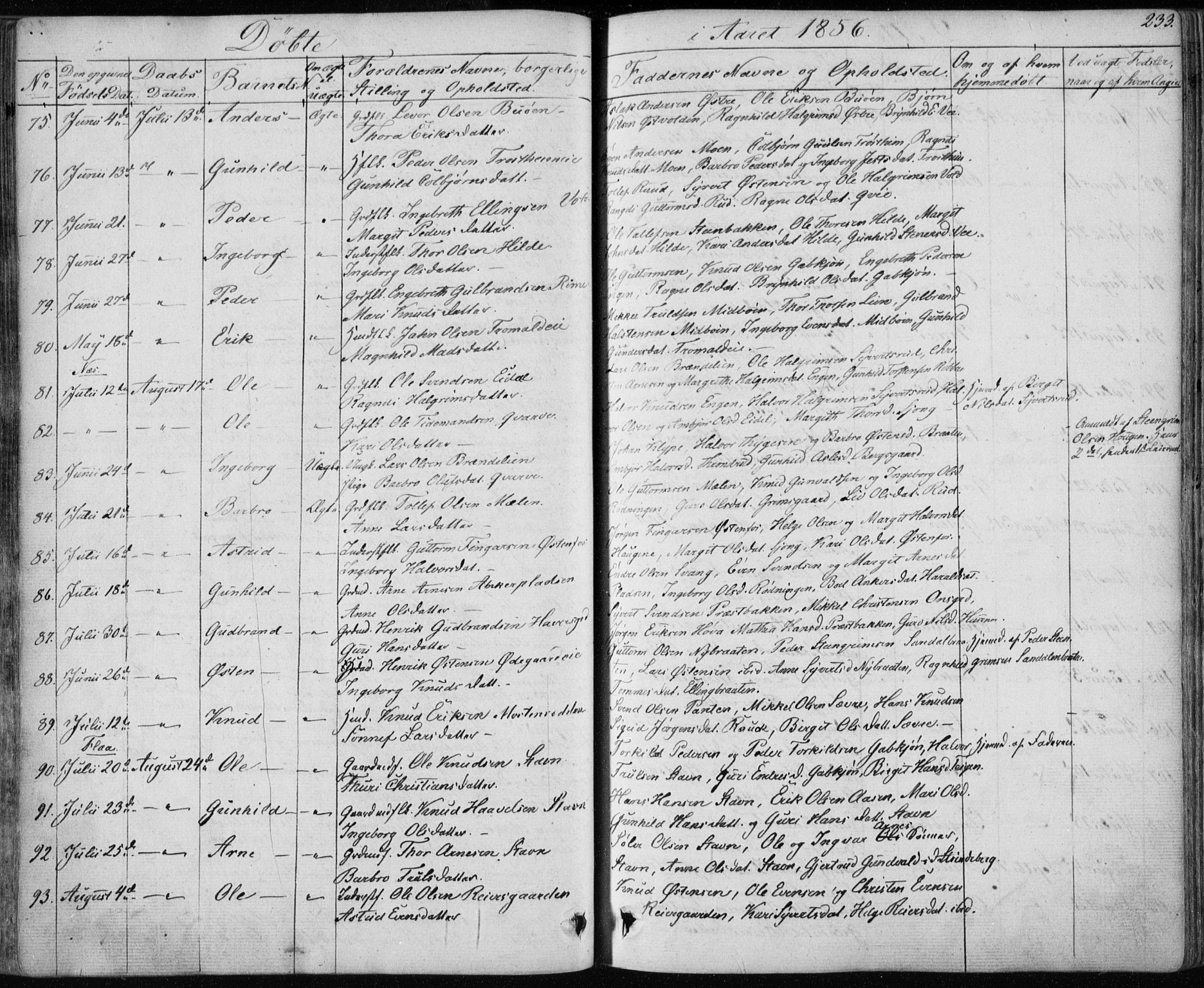 Nes kirkebøker, AV/SAKO-A-236/F/Fa/L0009: Ministerialbok nr. 9, 1834-1863, s. 233