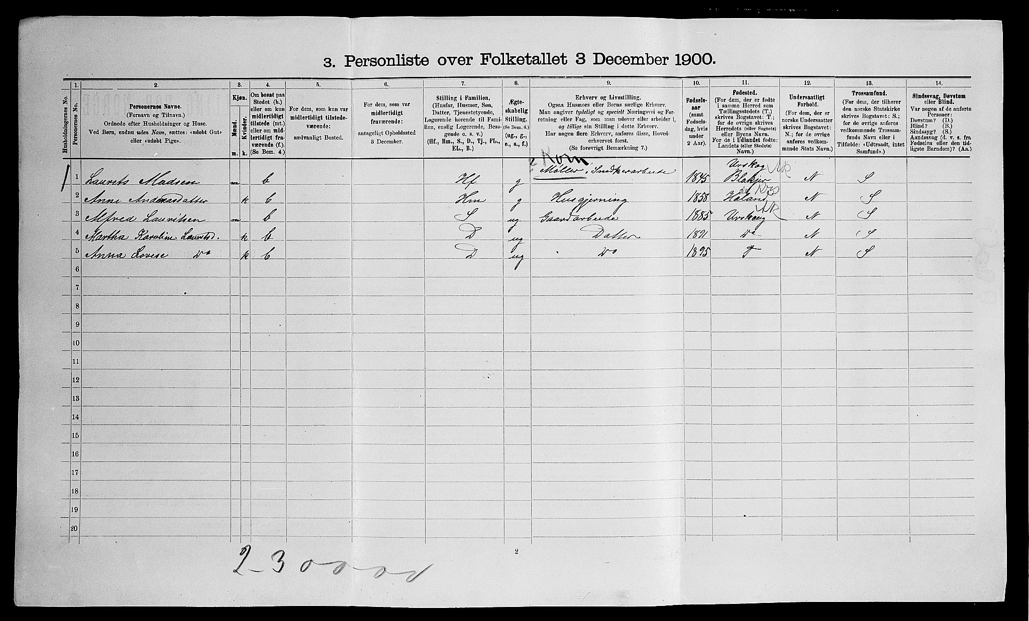 SAO, Folketelling 1900 for 0236 Nes herred, 1900