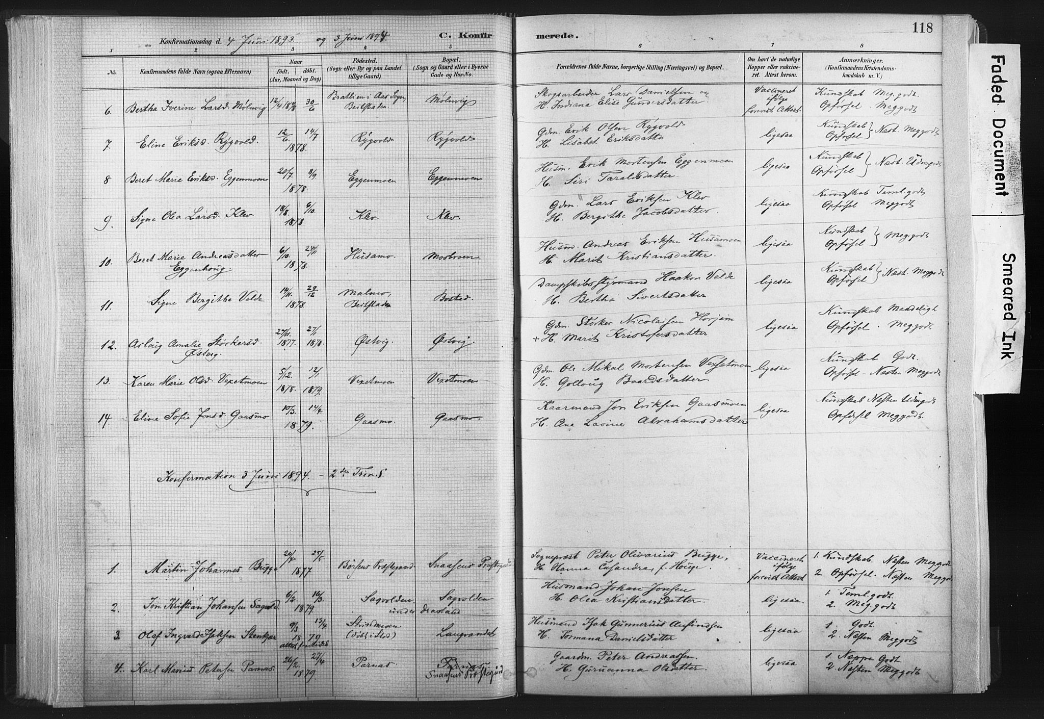 Ministerialprotokoller, klokkerbøker og fødselsregistre - Nord-Trøndelag, SAT/A-1458/749/L0474: Ministerialbok nr. 749A08, 1887-1903, s. 118