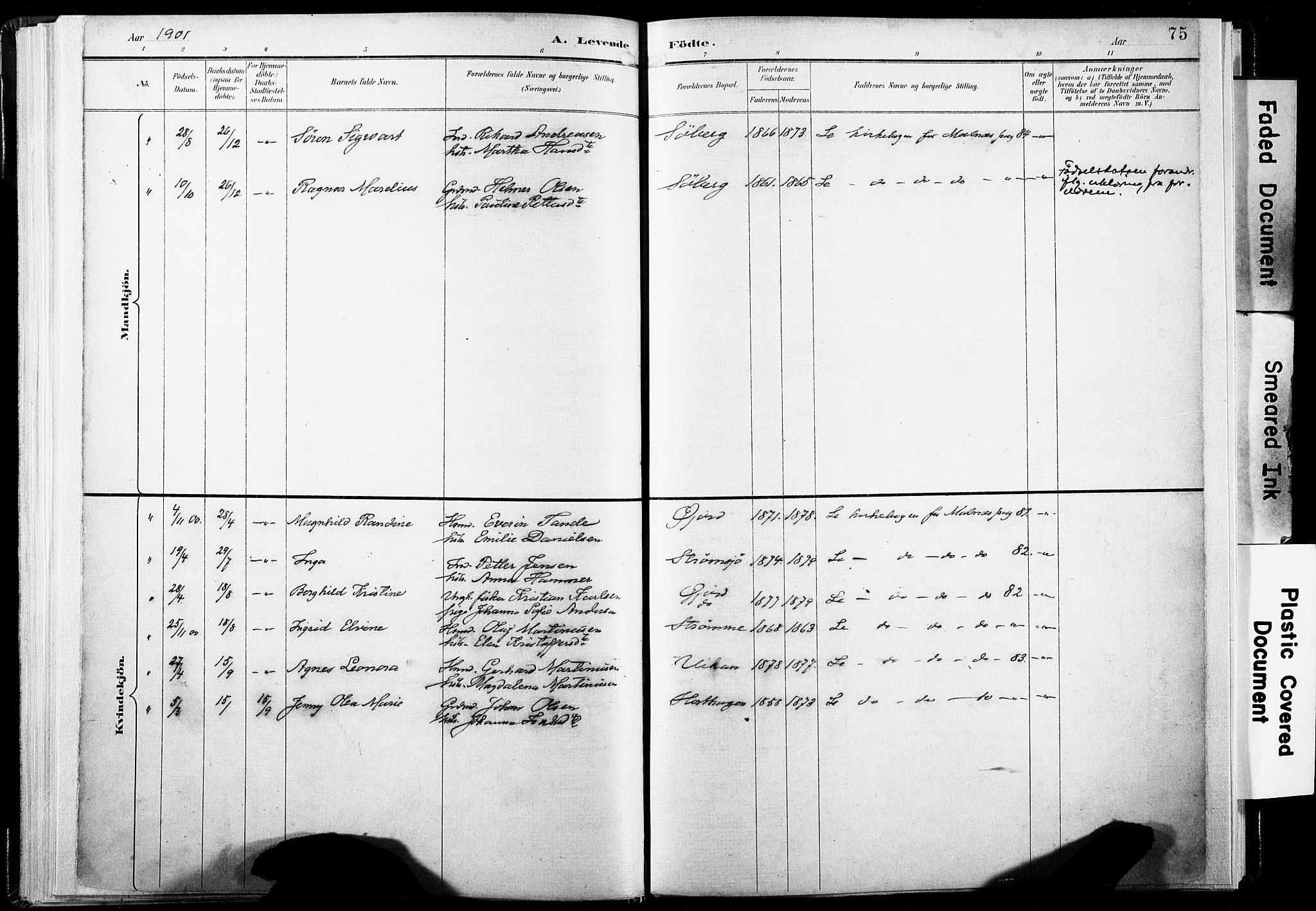 Ministerialprotokoller, klokkerbøker og fødselsregistre - Nordland, SAT/A-1459/891/L1304: Ministerialbok nr. 891A09, 1895-1921, s. 75