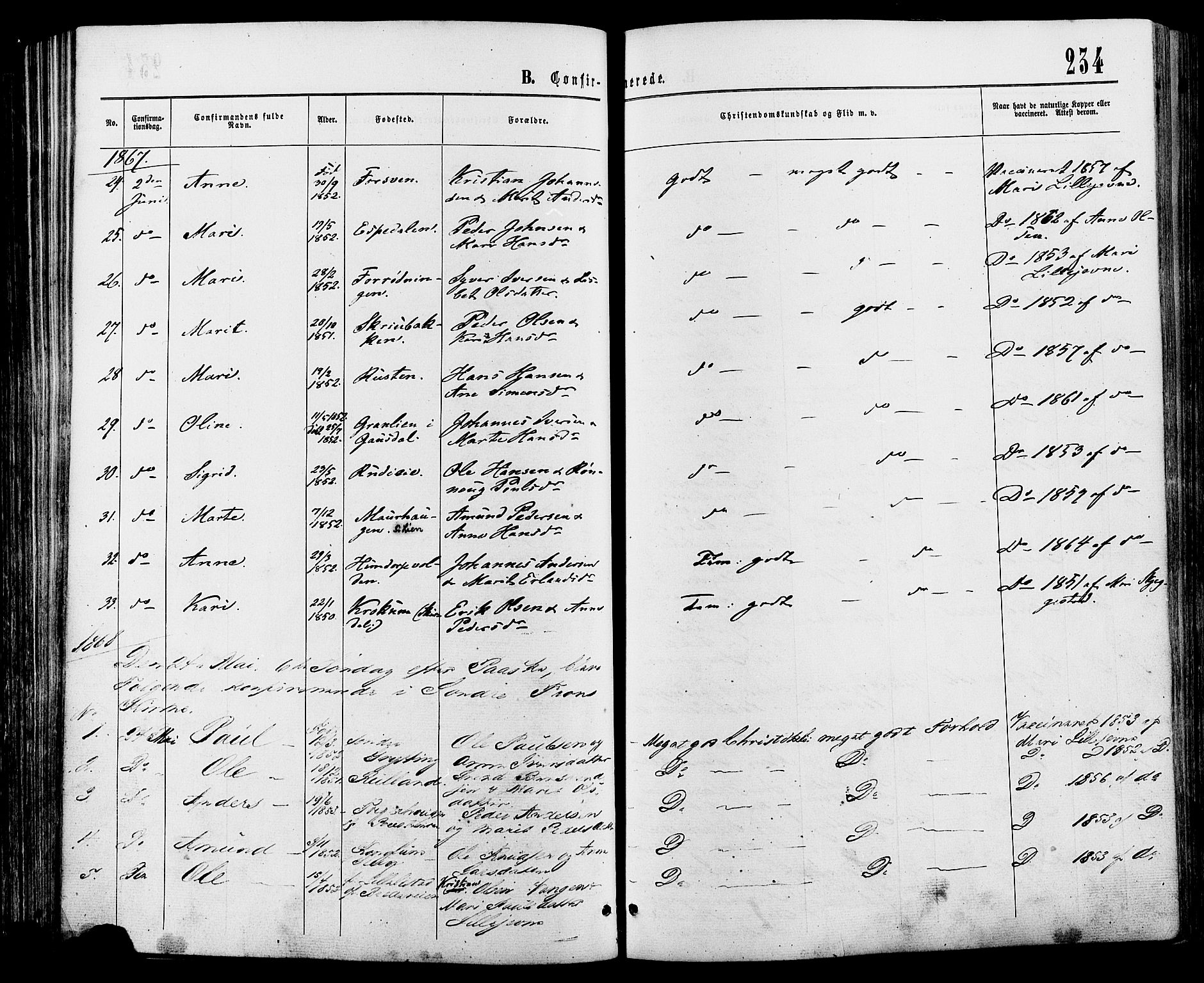 Sør-Fron prestekontor, SAH/PREST-010/H/Ha/Haa/L0002: Ministerialbok nr. 2, 1864-1880, s. 234