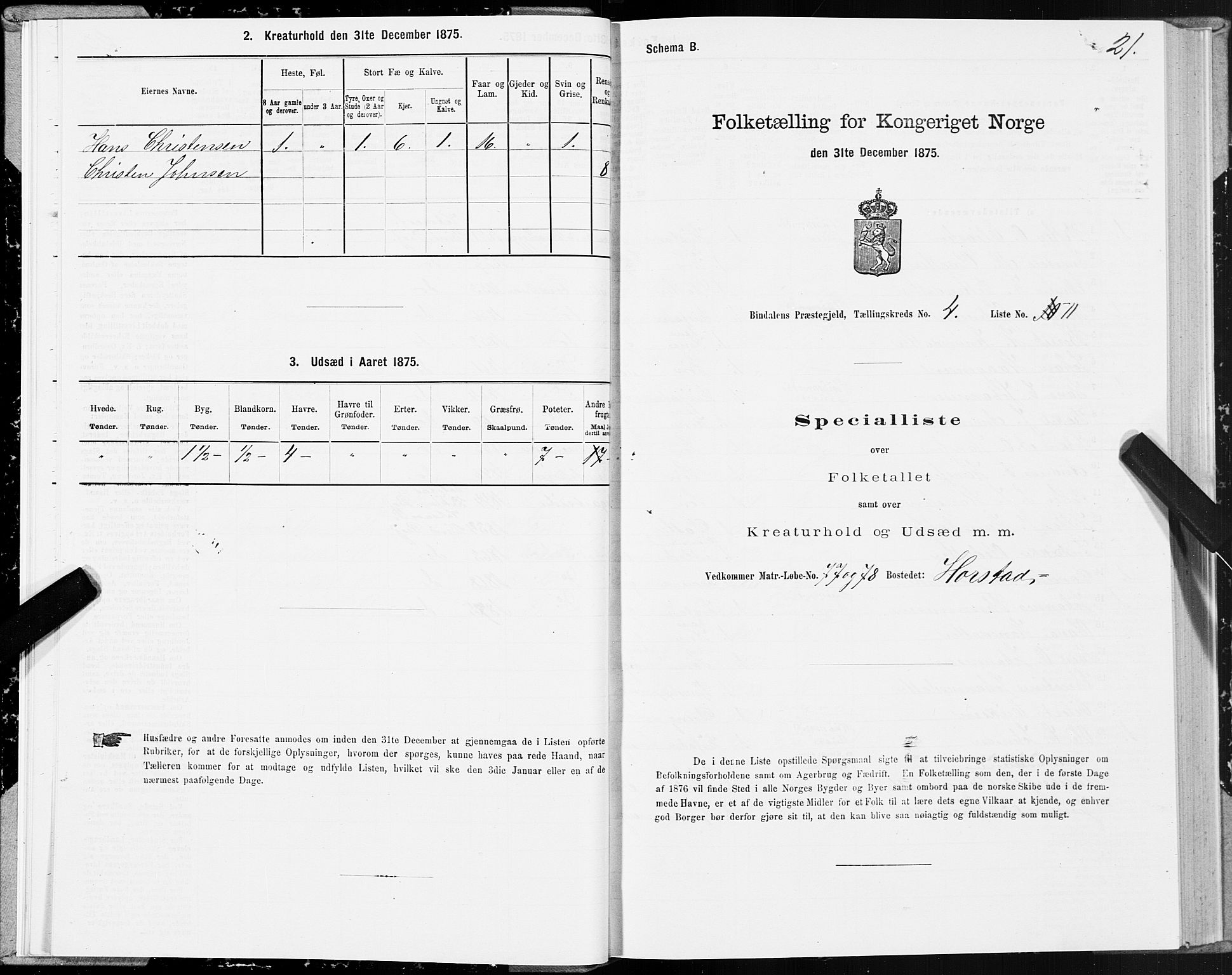 SAT, Folketelling 1875 for 1811P Bindal prestegjeld, 1875, s. 2021