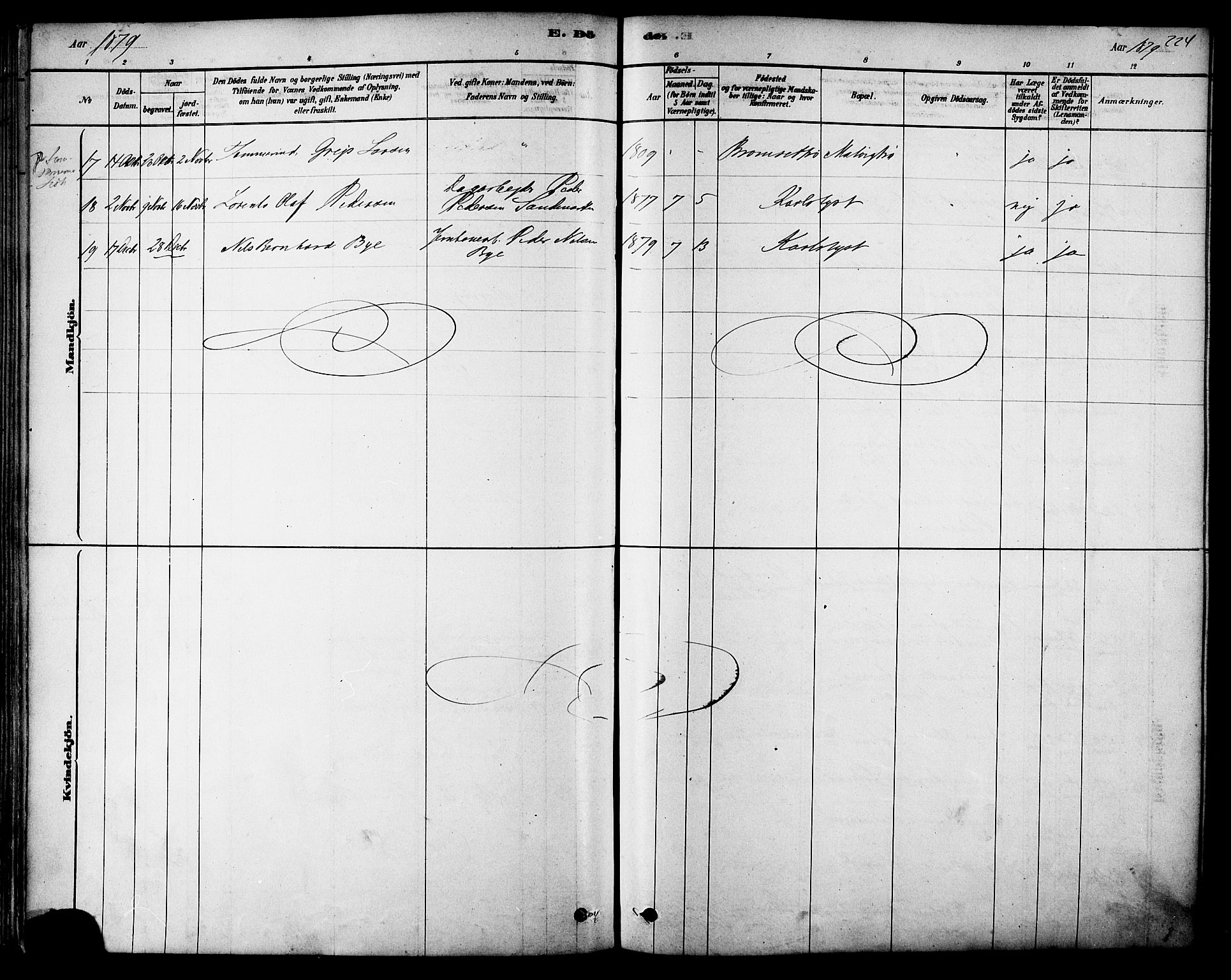 Ministerialprotokoller, klokkerbøker og fødselsregistre - Sør-Trøndelag, SAT/A-1456/616/L0410: Ministerialbok nr. 616A07, 1878-1893, s. 224