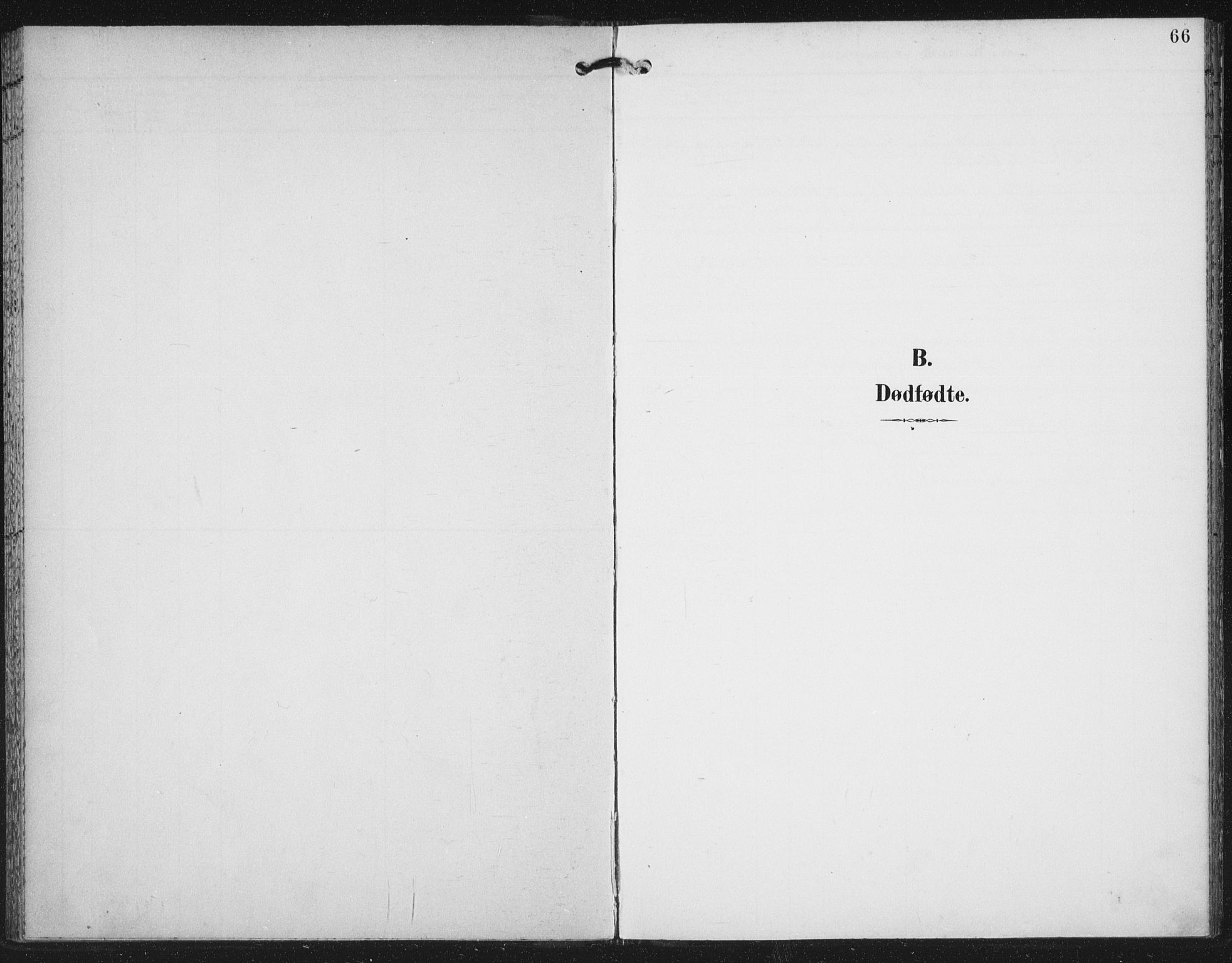 Ministerialprotokoller, klokkerbøker og fødselsregistre - Nord-Trøndelag, SAT/A-1458/702/L0024: Ministerialbok nr. 702A02, 1898-1914, s. 66