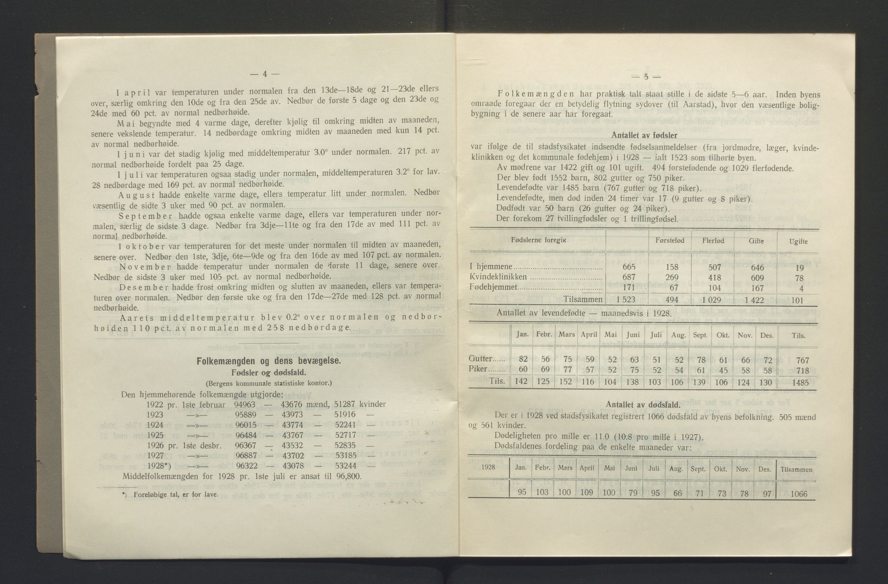 Bergen kommune, Sunnhetsvesen (Bergen helseråd), BBA/A-2617/X/Xa/L0021: Årsmelding, 1928