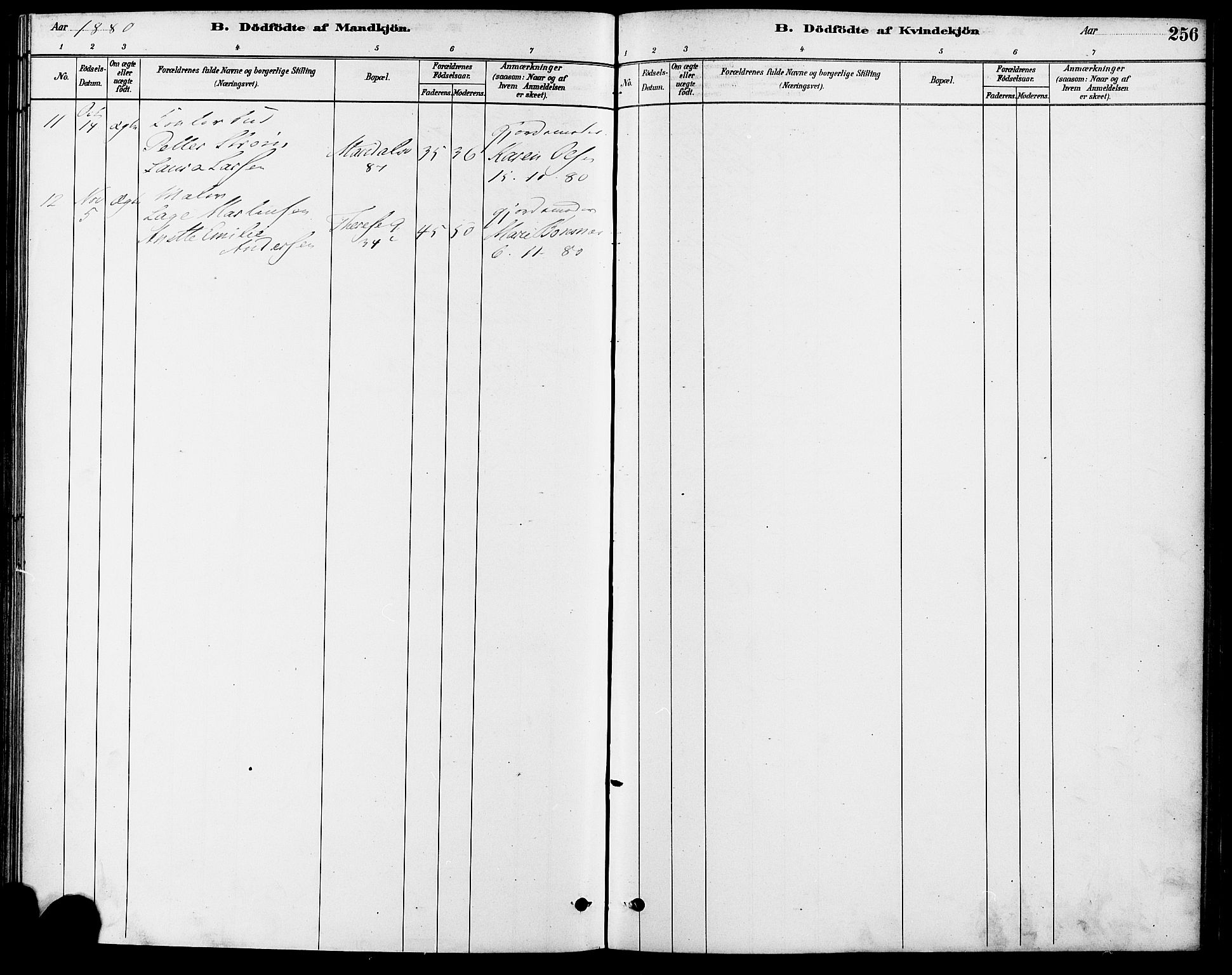 Gamle Aker prestekontor Kirkebøker, SAO/A-10617a/F/L0006: Ministerialbok nr. 6, 1880-1887, s. 256