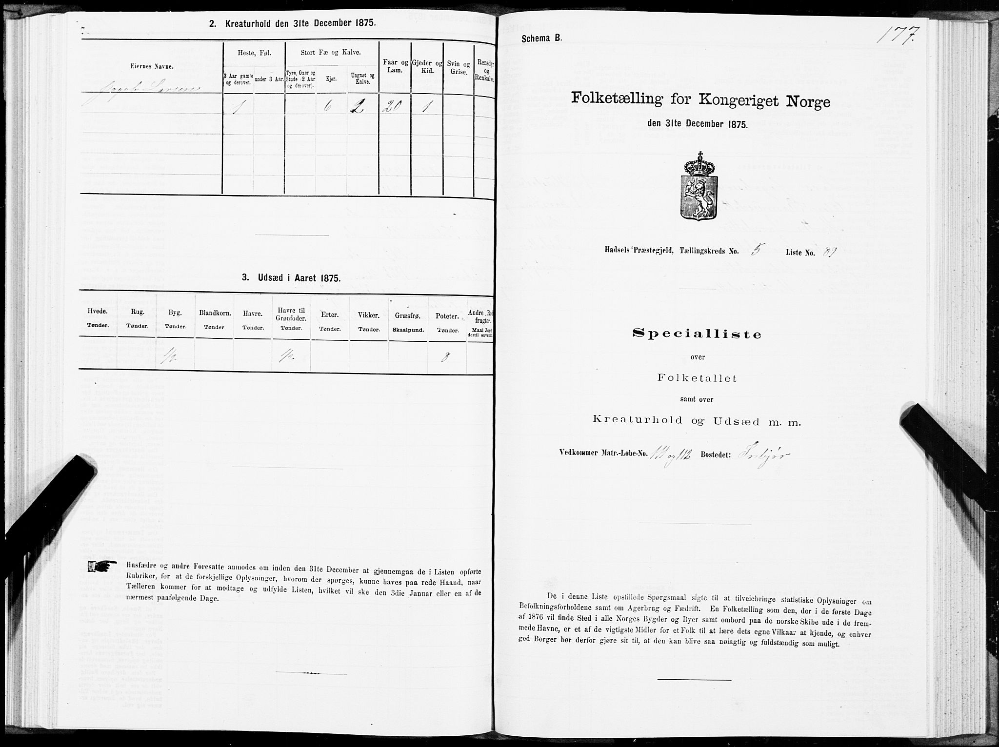 SAT, Folketelling 1875 for 1866P Hadsel prestegjeld, 1875, s. 3177