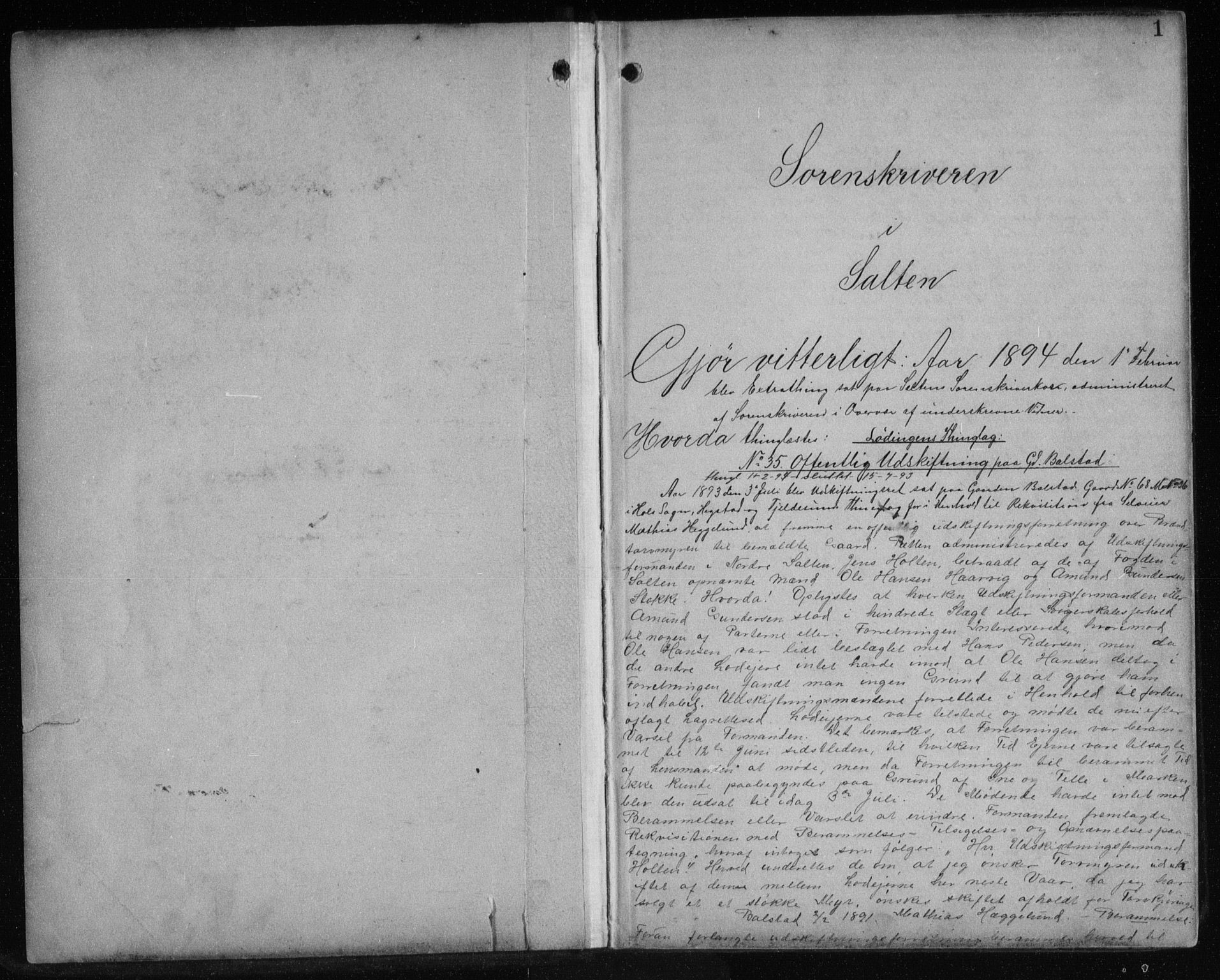 Salten sorenskriveri, SAT/A-4578/1/2/2C/L0027: Pantebok nr. X, 1894-1899, s. 1
