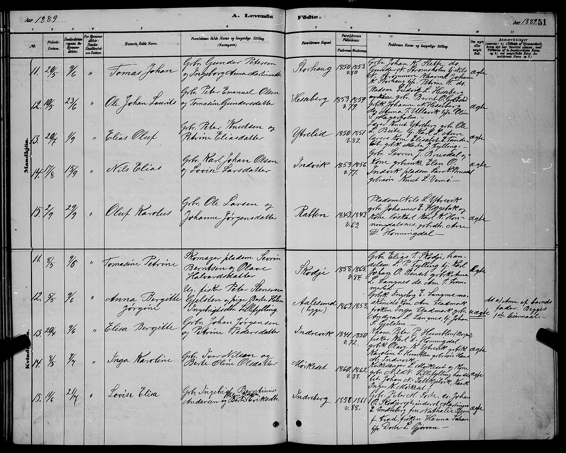 Ministerialprotokoller, klokkerbøker og fødselsregistre - Møre og Romsdal, AV/SAT-A-1454/524/L0365: Klokkerbok nr. 524C06, 1880-1899, s. 51